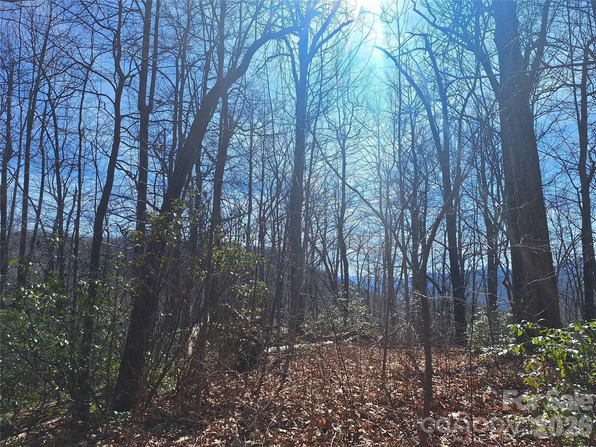 Lot at Old Fort, photo 3 of 26