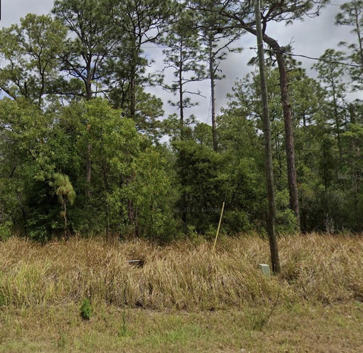 Land at 0 BAHIA TERRACE DR, OCALA, photo 2 of 2