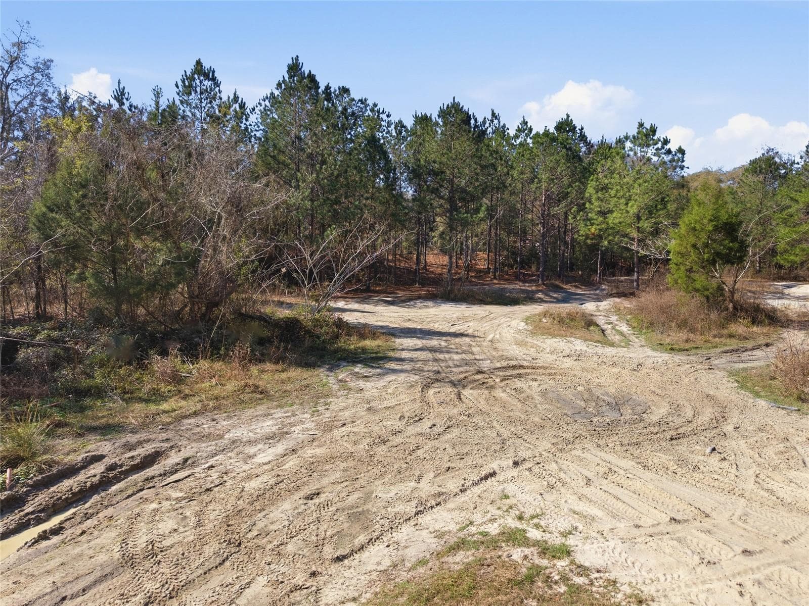 Land at Lot 027 NE 164TH LN, CITRA, photo 33 of 34