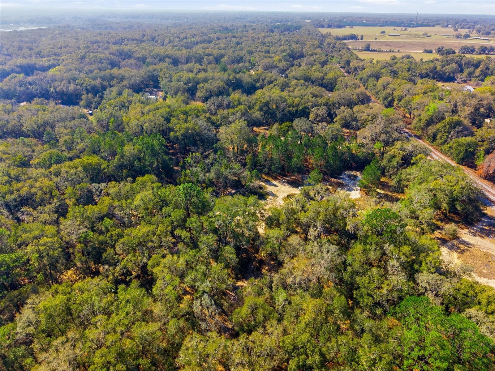 Land at LOT 028 NE 164TH LN, CITRA, photo 18 of 29