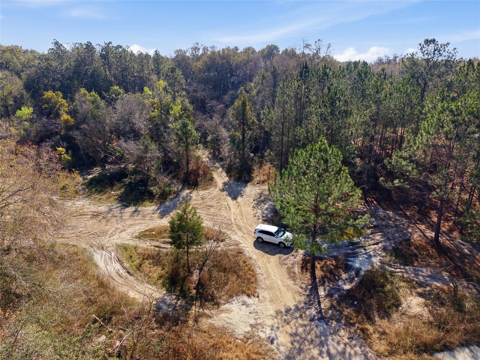 Land at LOT 028 NE 164TH LN, CITRA, photo 26 of 29