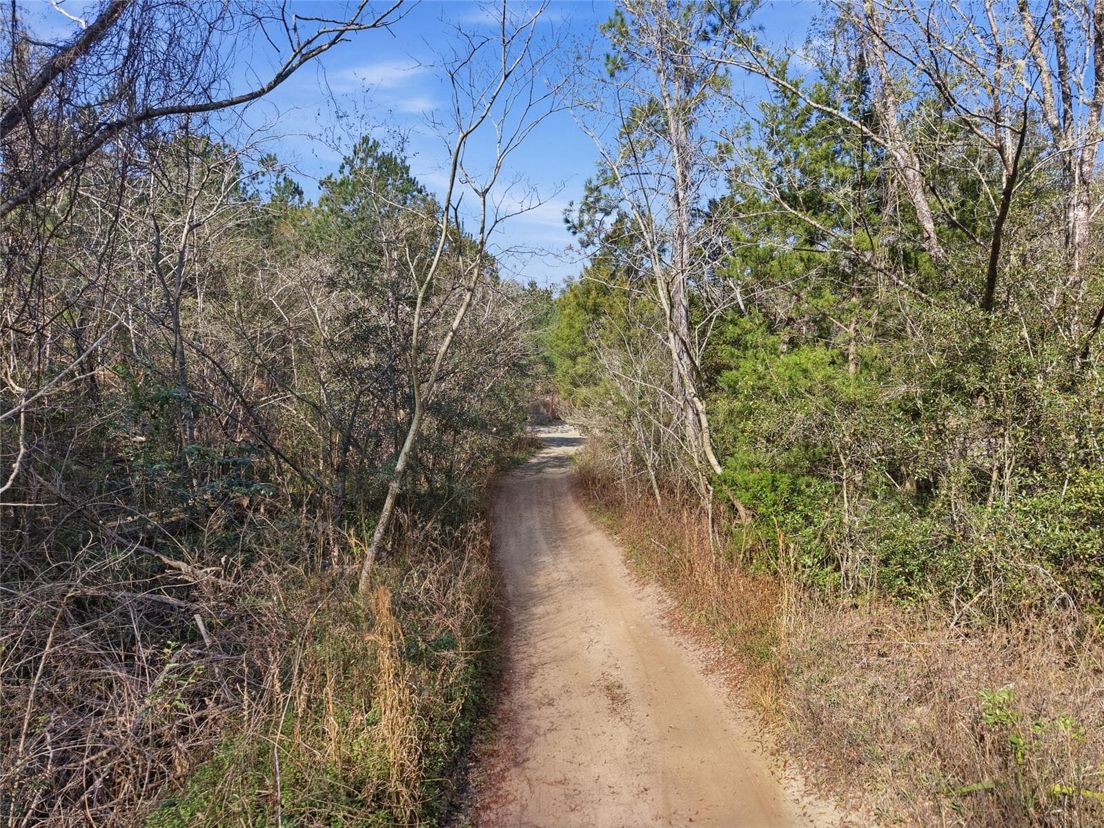 Land at LOT 028 NE 164TH LN, CITRA, photo 27 of 29
