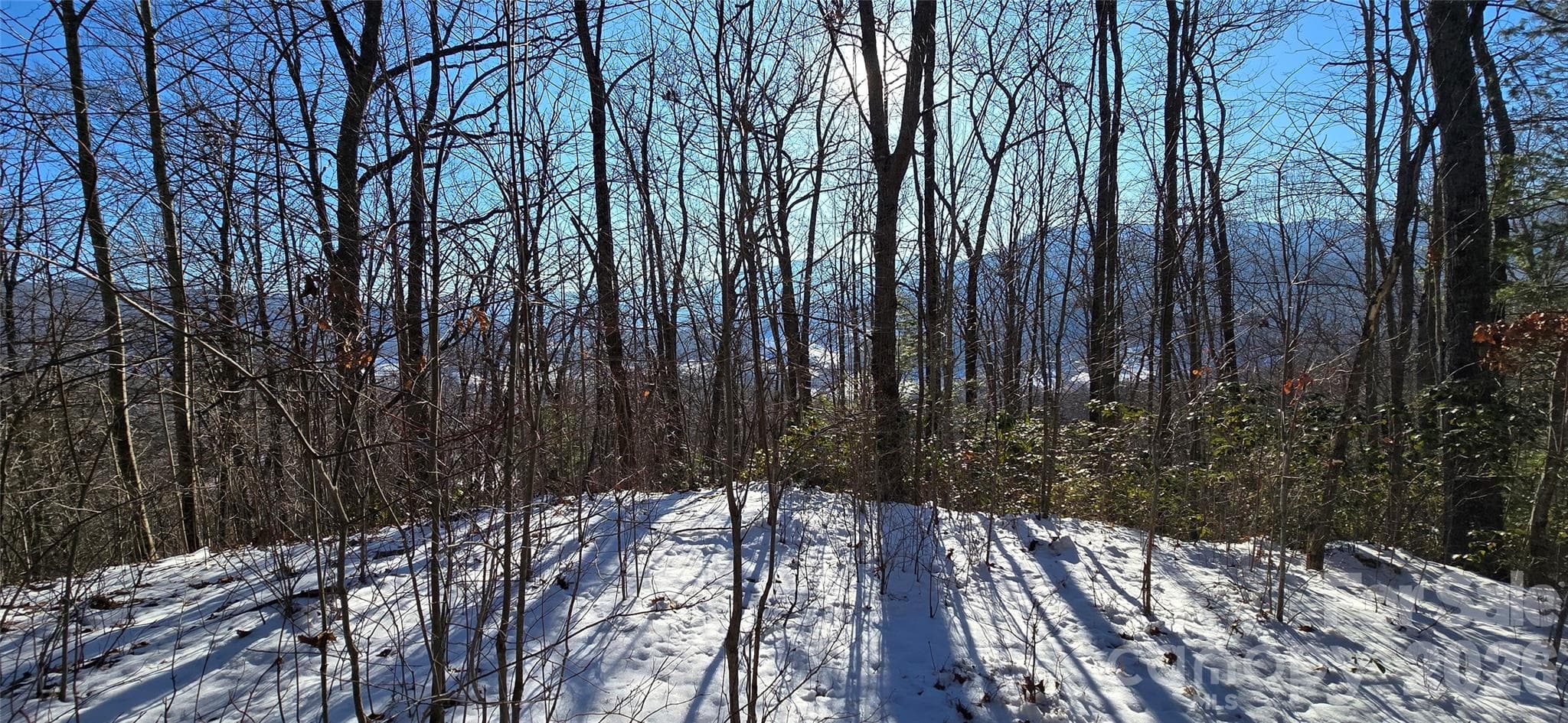 Lot at Waynesville, photo 2 of 26