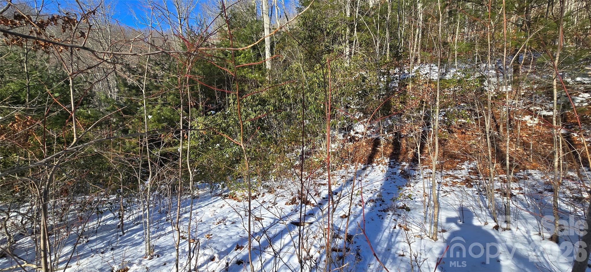 Lot at Waynesville, photo 3 of 26
