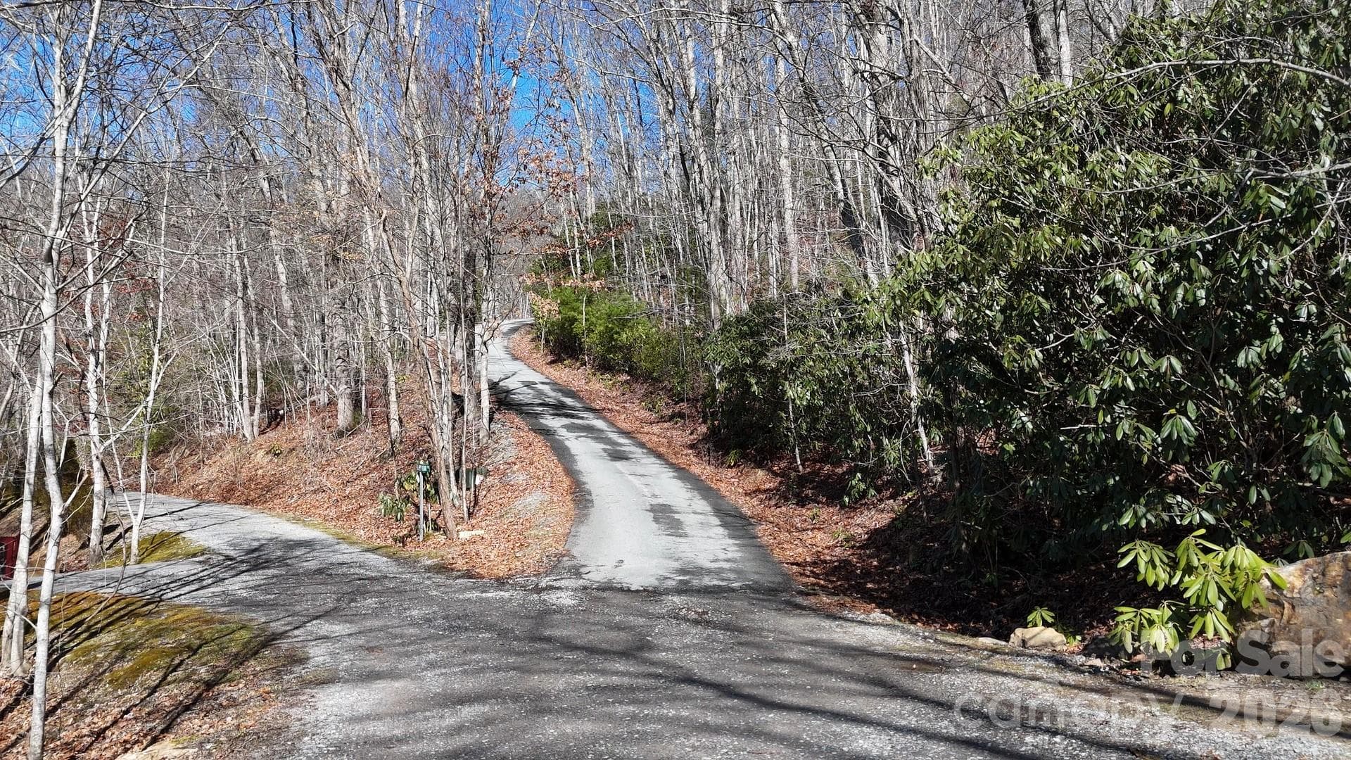 Lot at Waynesville, photo 4 of 26