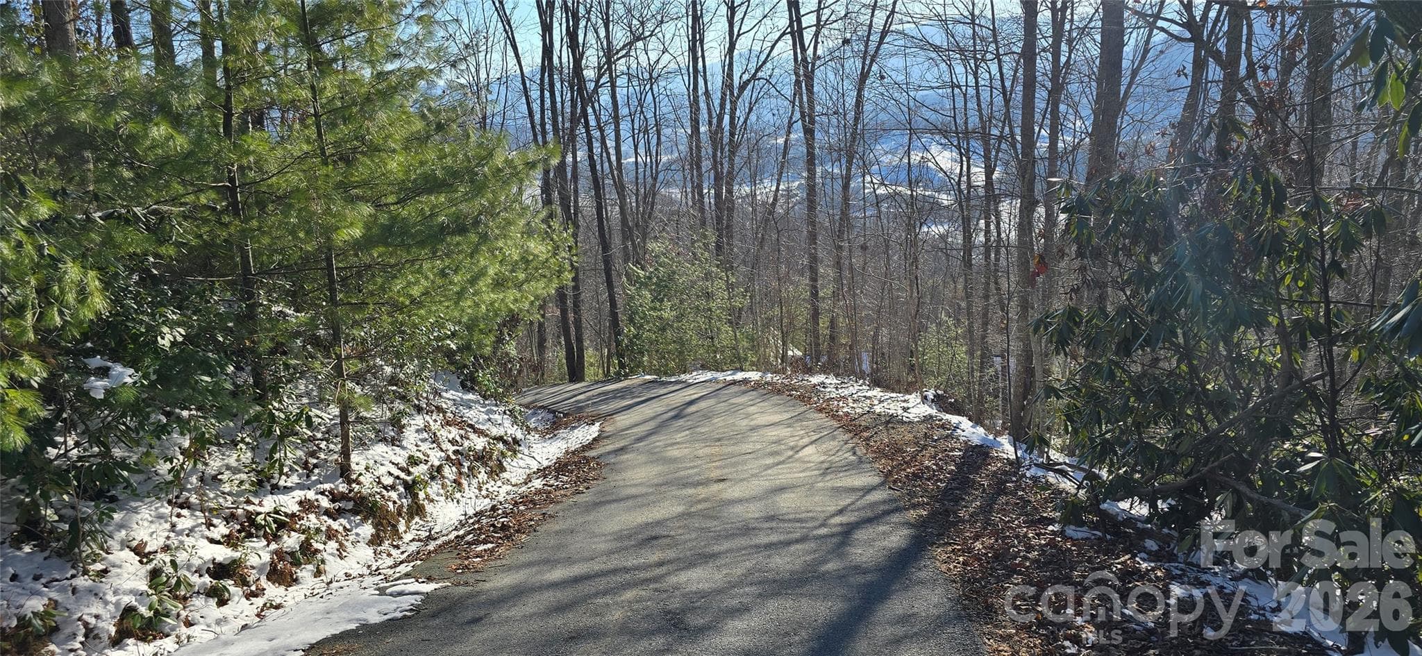 Lot at Waynesville, photo 5 of 26