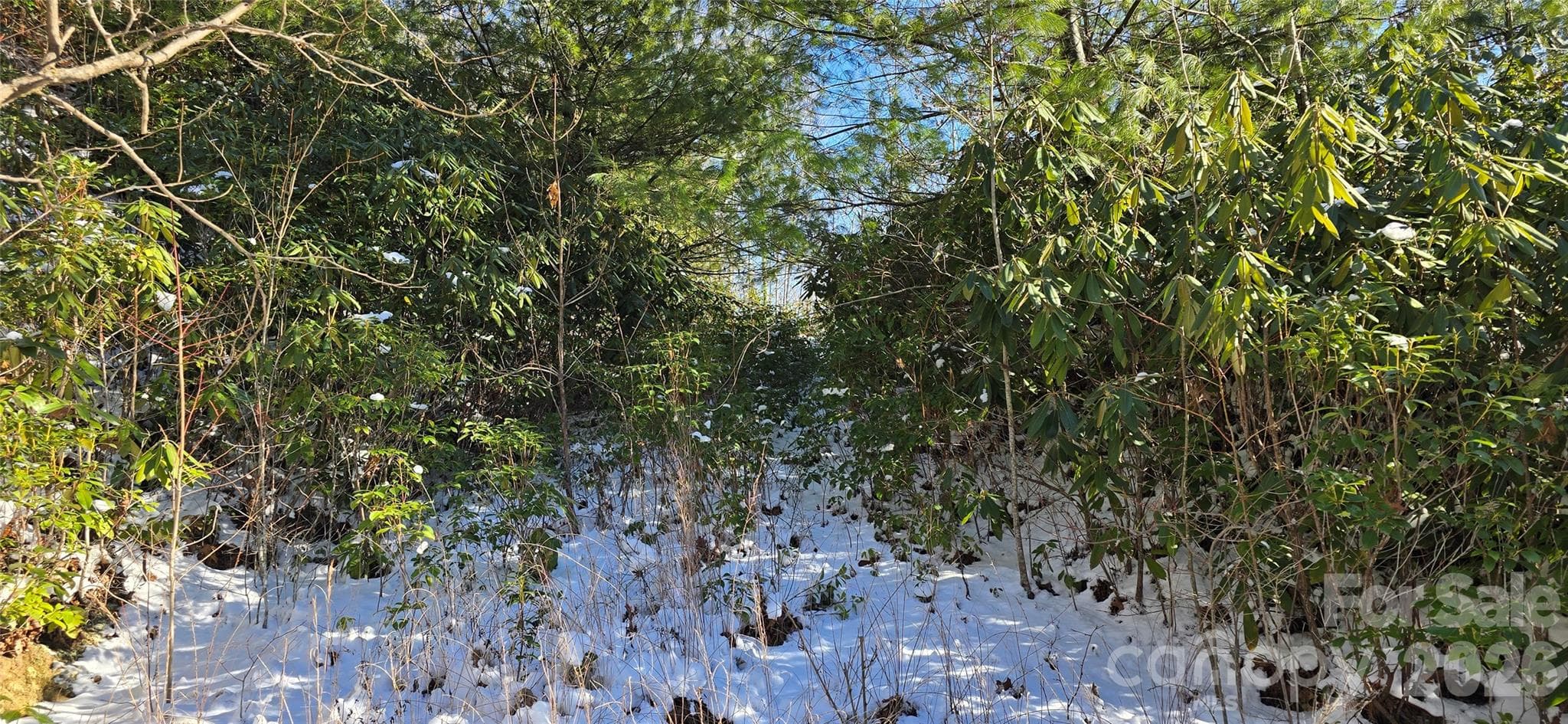 Lot at Waynesville, photo 9 of 26