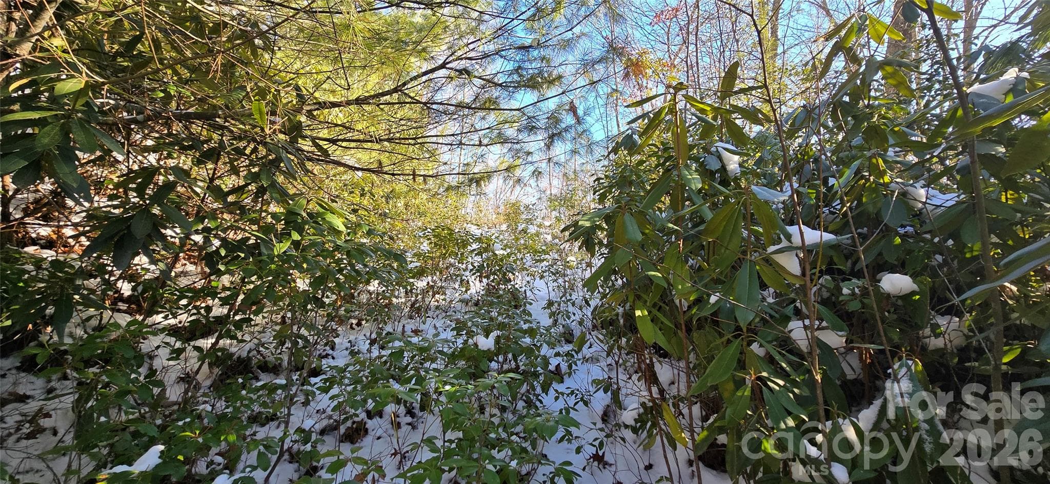 Lot at Waynesville, photo 10 of 26