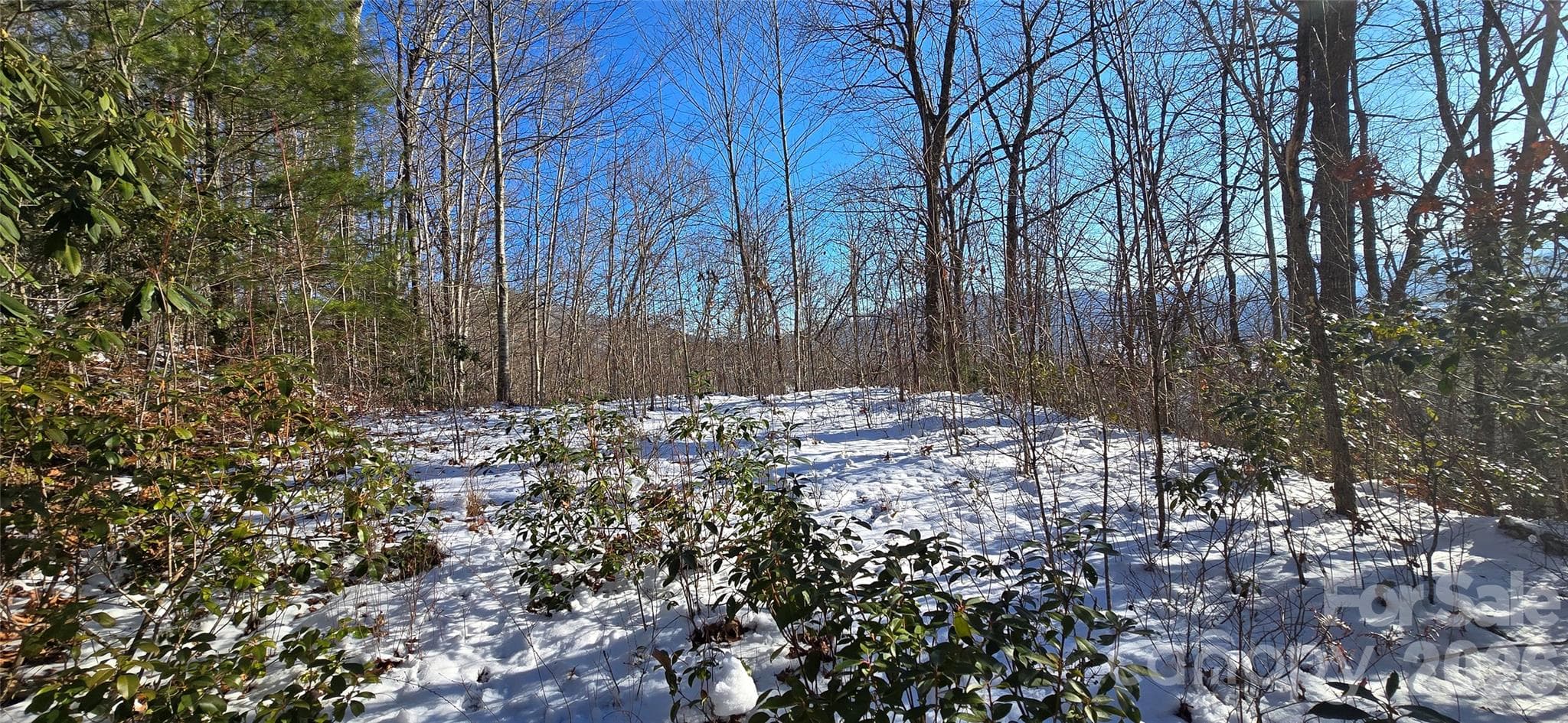 Lot at Waynesville, photo 11 of 26