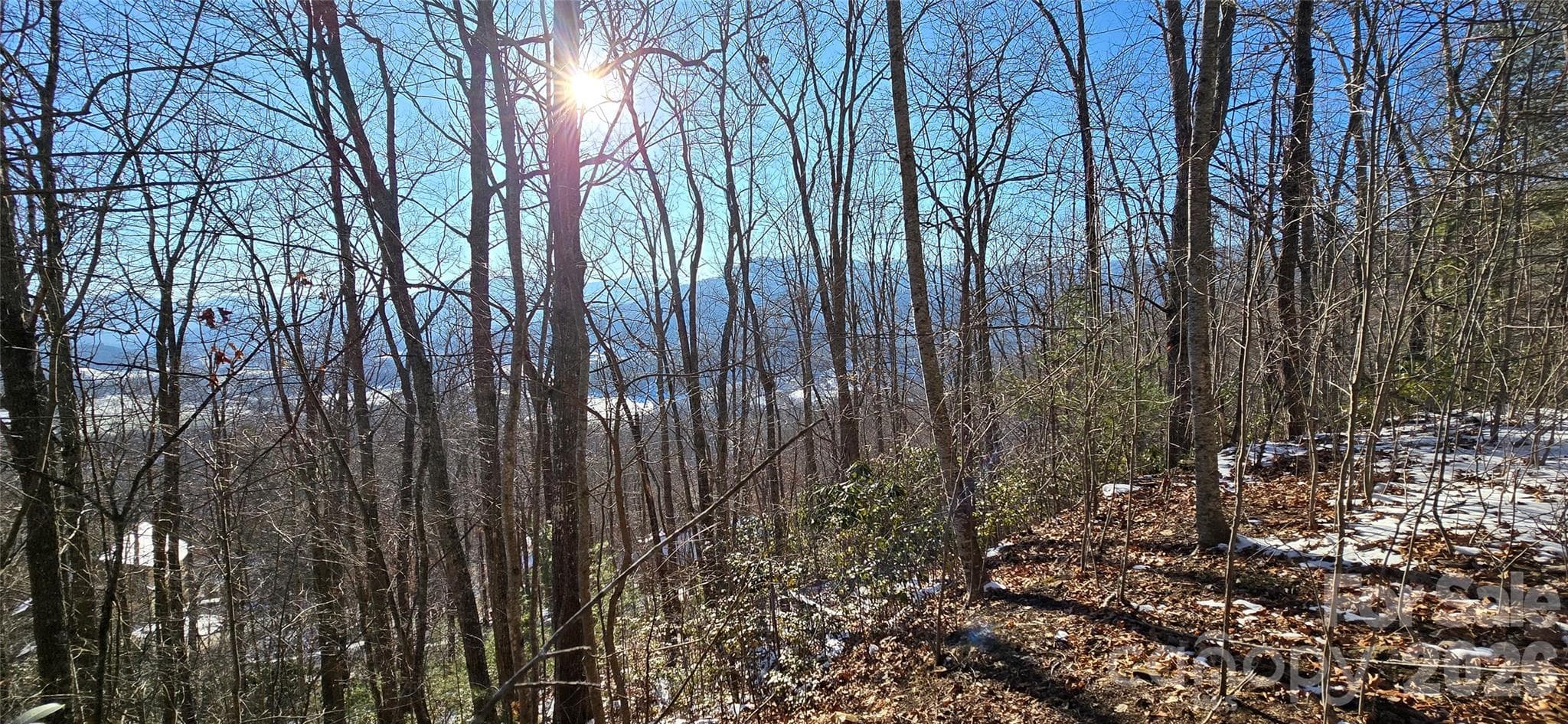 Lot at Waynesville, photo 12 of 26