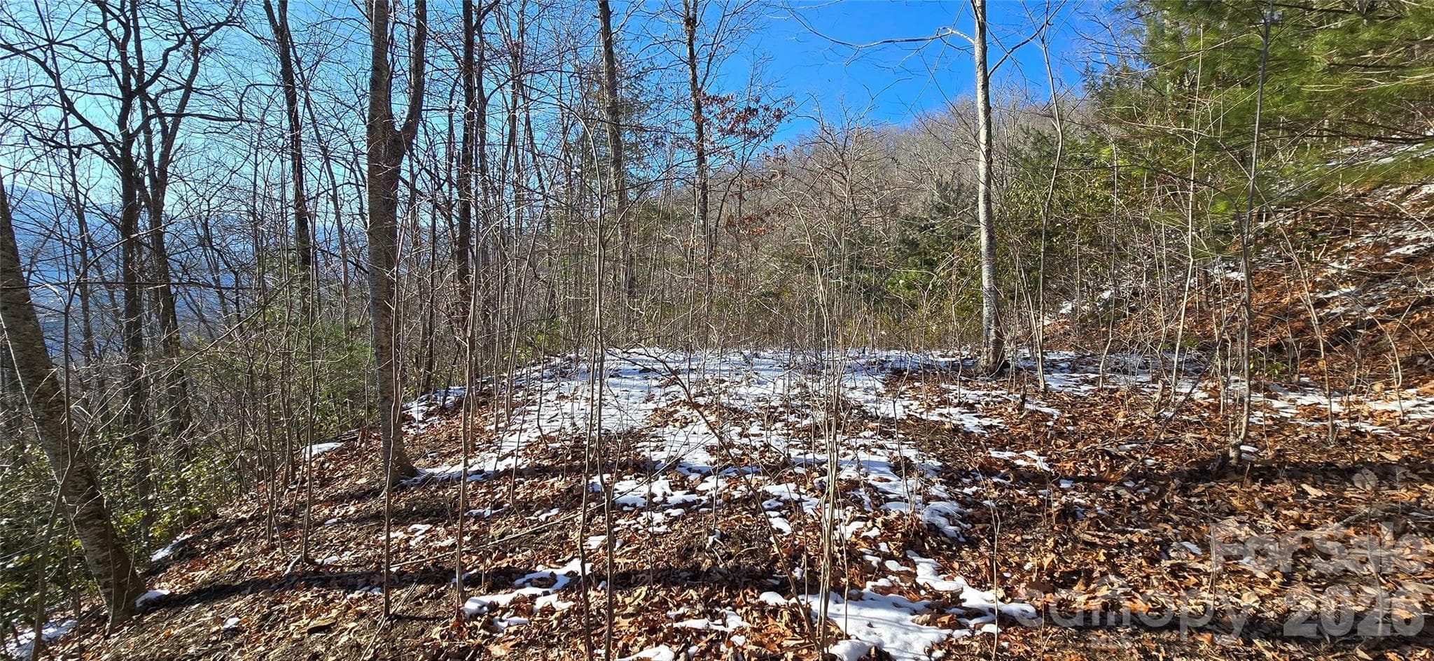 Lot at Waynesville, photo 13 of 26