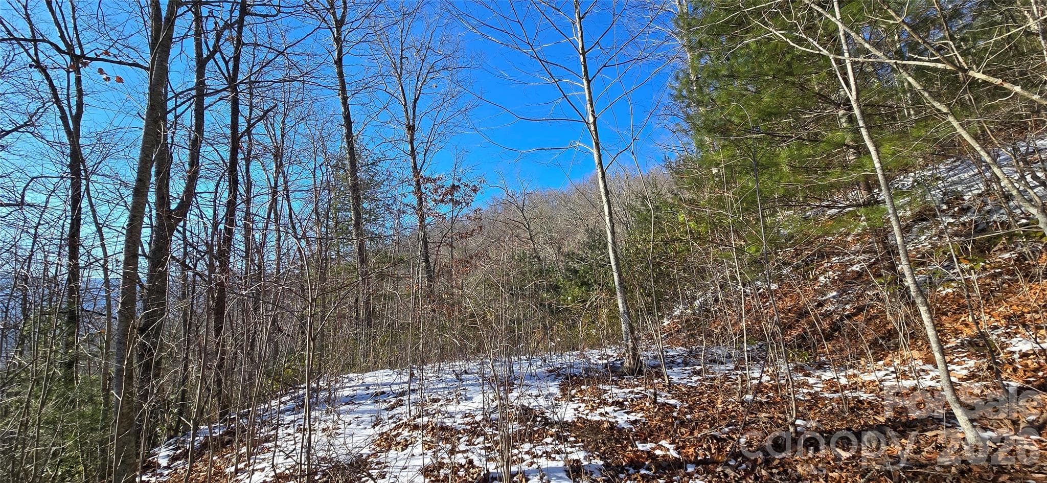 Lot at Waynesville, photo 14 of 26