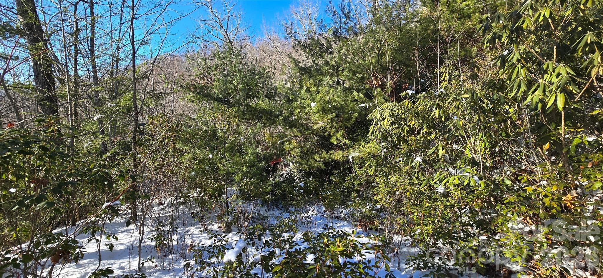 Lot at Waynesville, photo 18 of 26