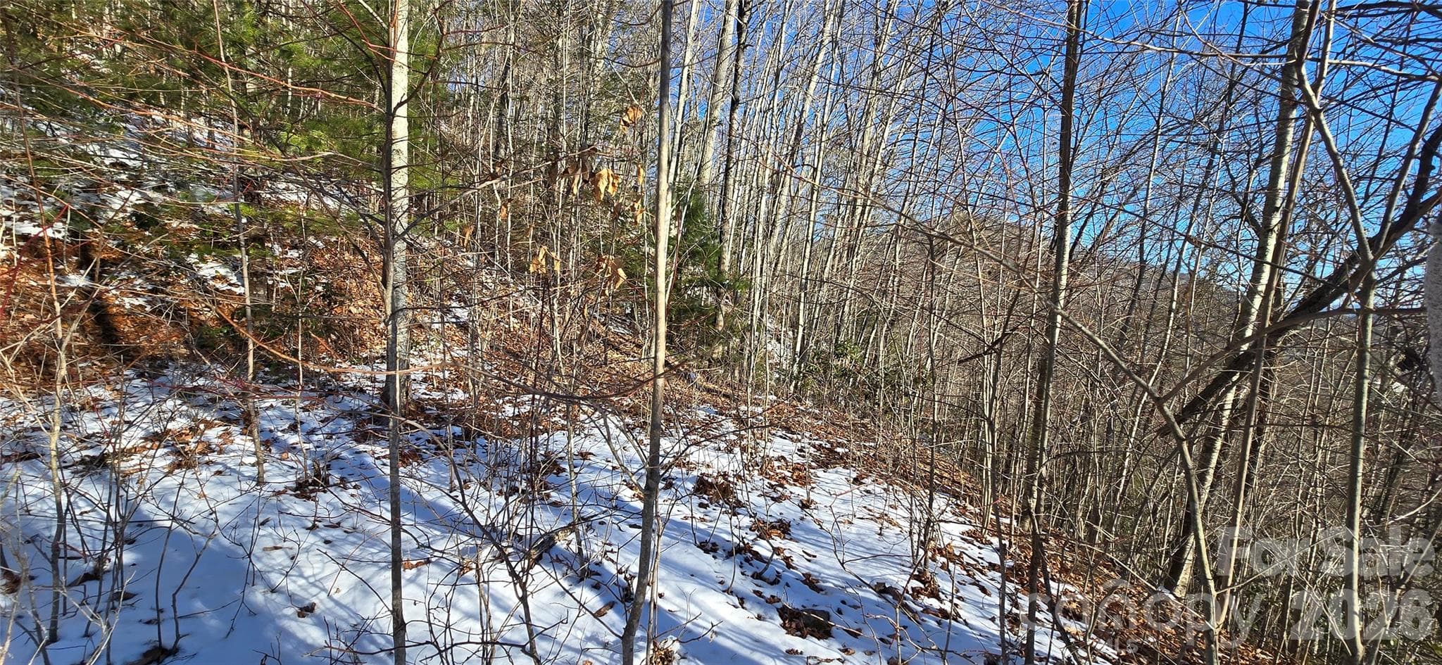 Lot at Waynesville, photo 19 of 26
