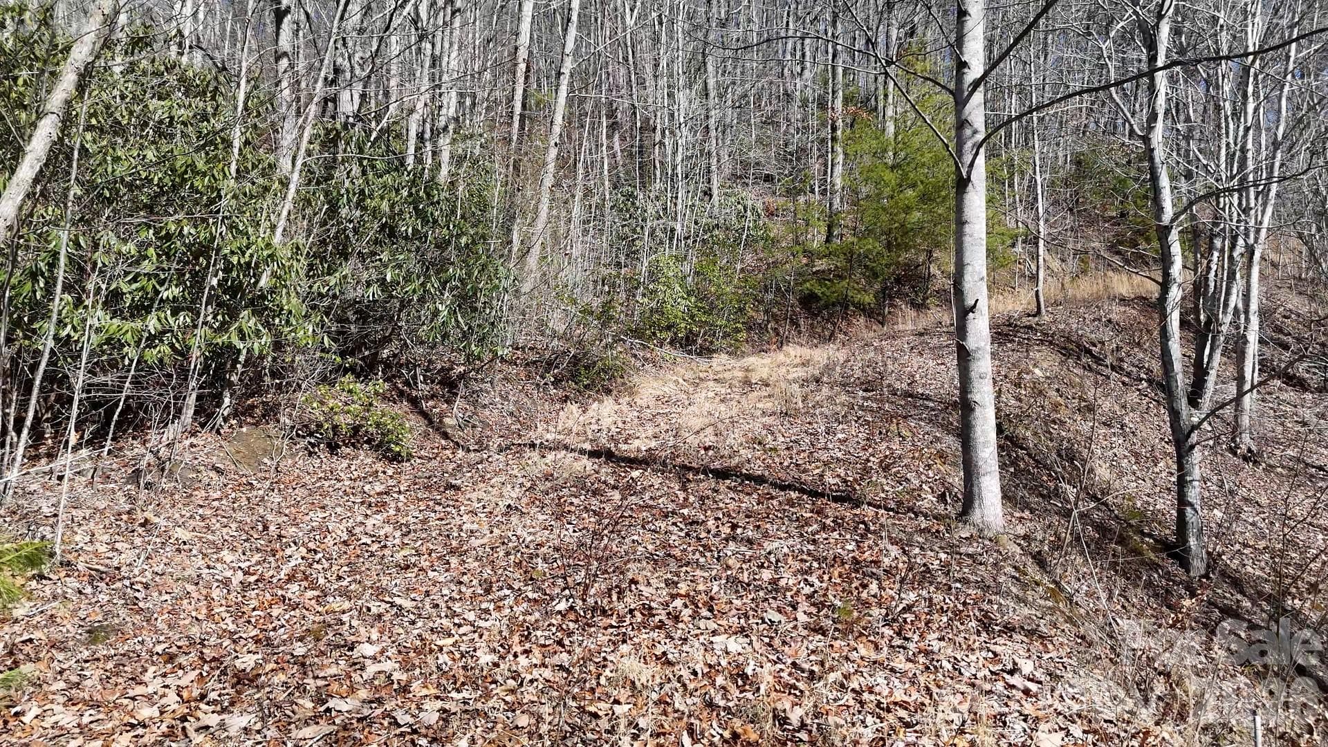 Lot at Waynesville, photo 22 of 26