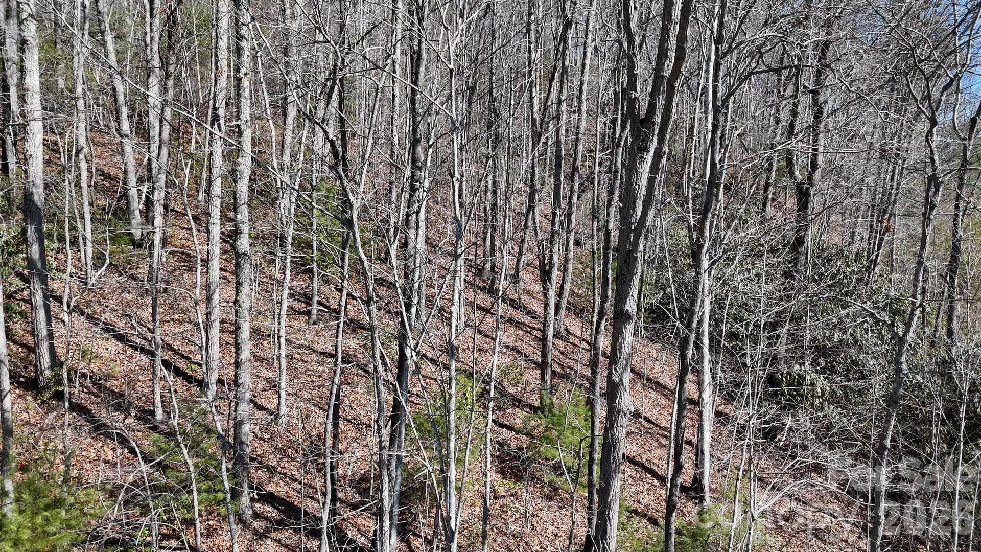 Lot at Waynesville, photo 24 of 26
