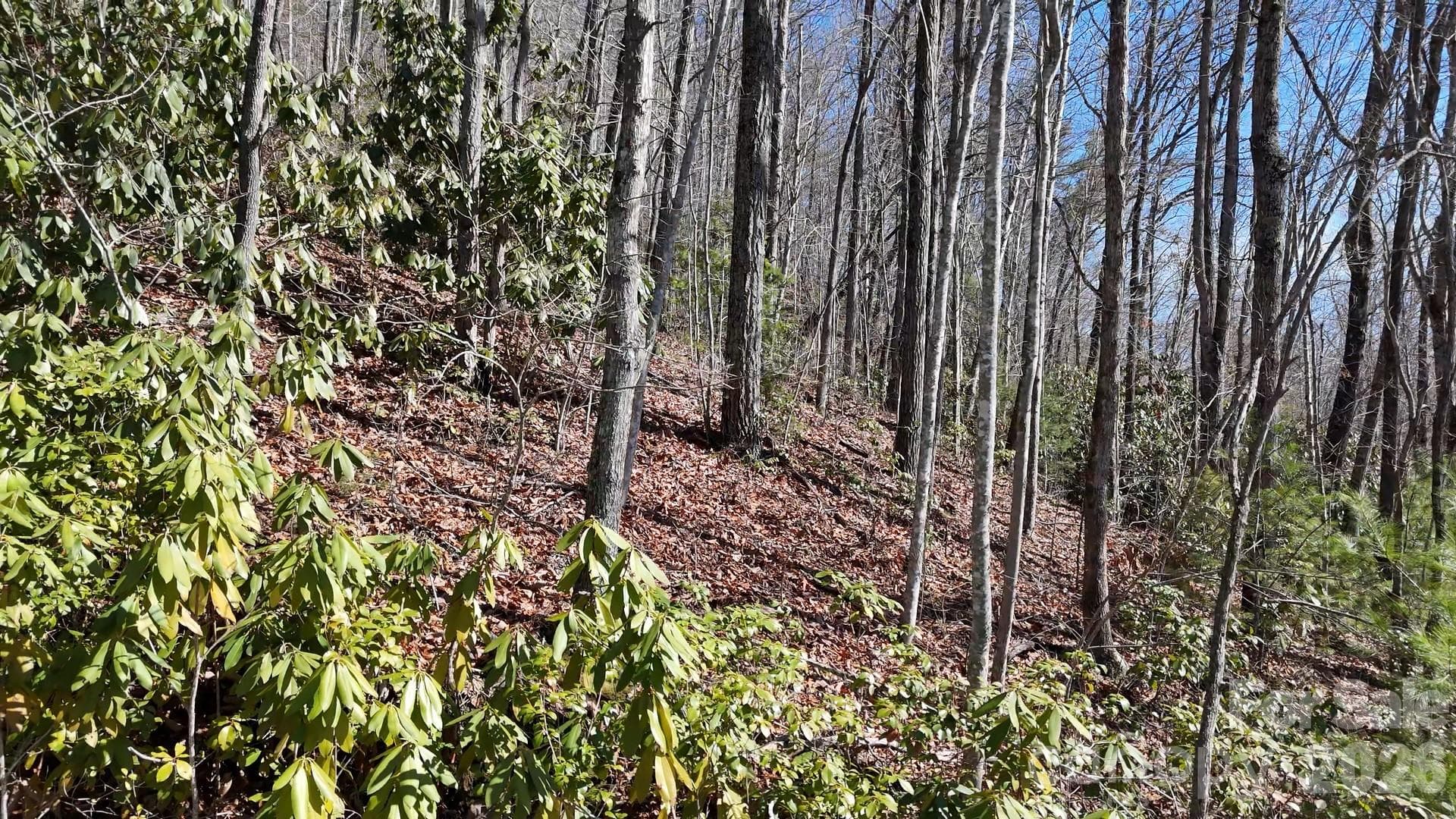 Lot at Waynesville, photo 25 of 26