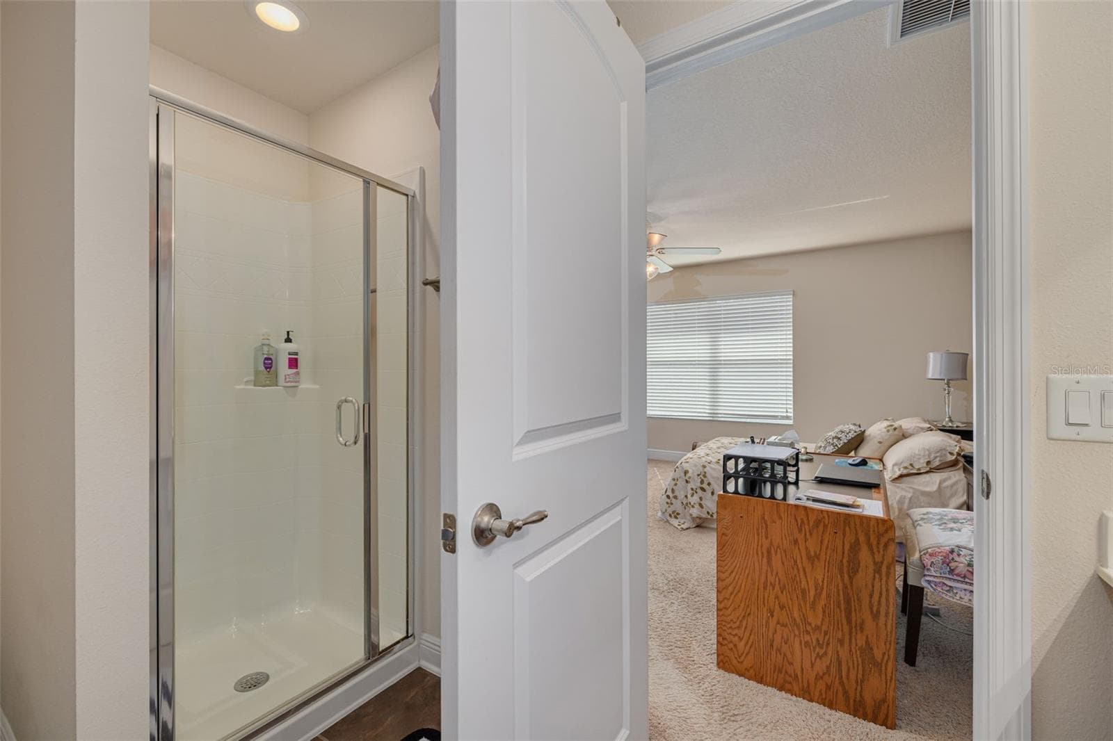Single Family Residence at 20215 NATURES SPIRIT DR, TAMPA, photo 20 of 34