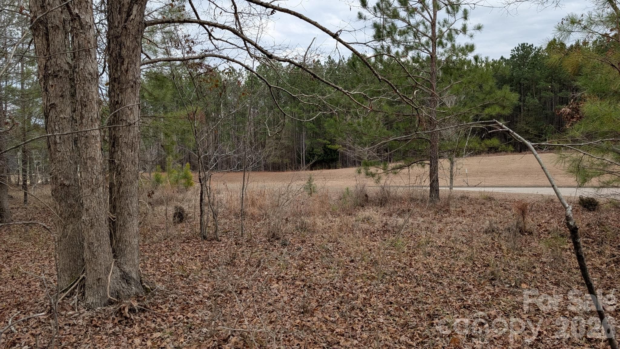 Lot at TBD Retreat Way, Ridgeway, photo 3 of 22