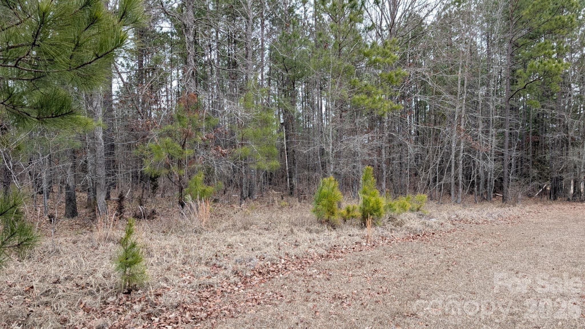 Lot at TBD Retreat Way, Ridgeway, photo 4 of 22