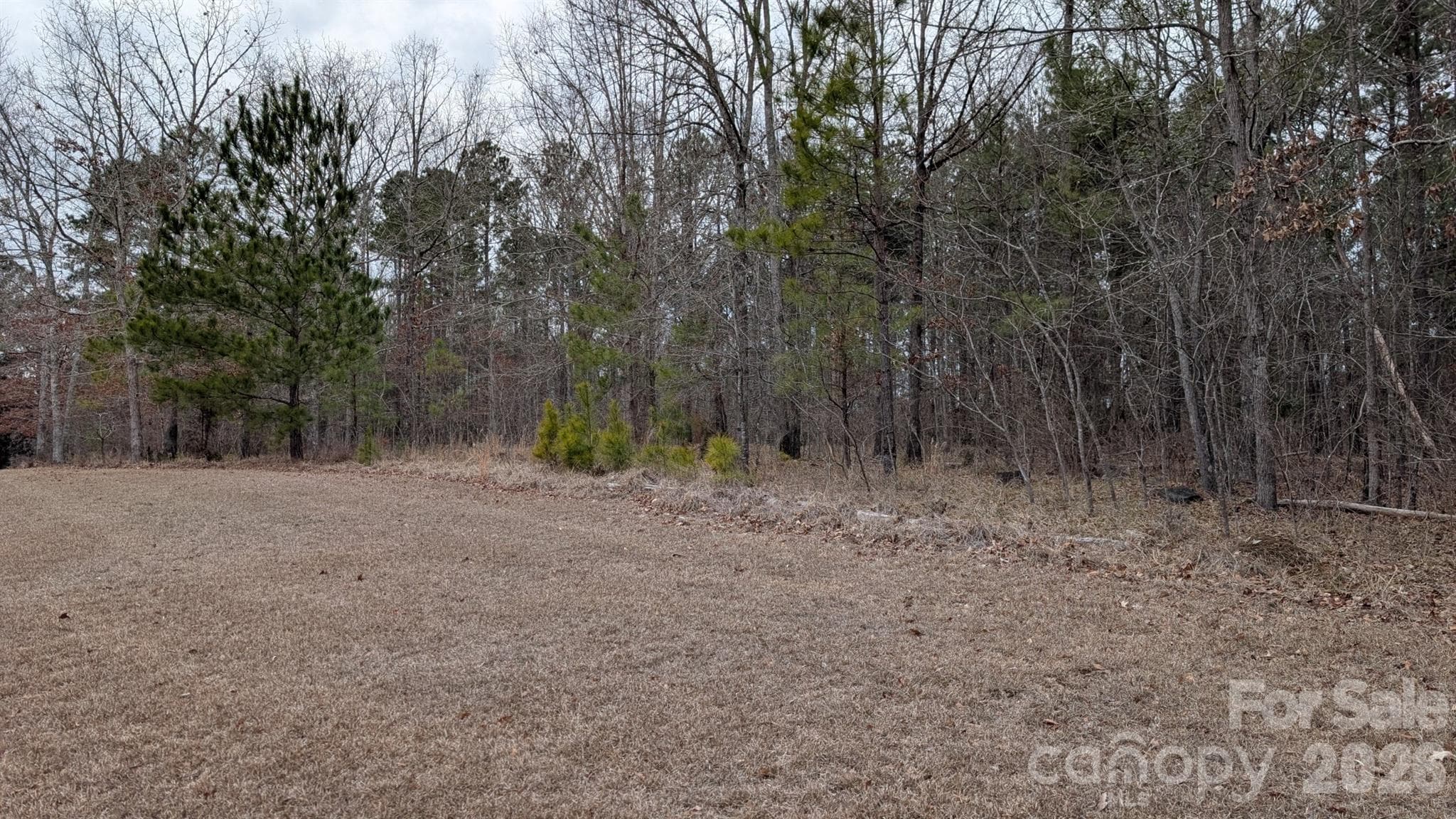 Lot at TBD Retreat Way, Ridgeway, photo 5 of 22
