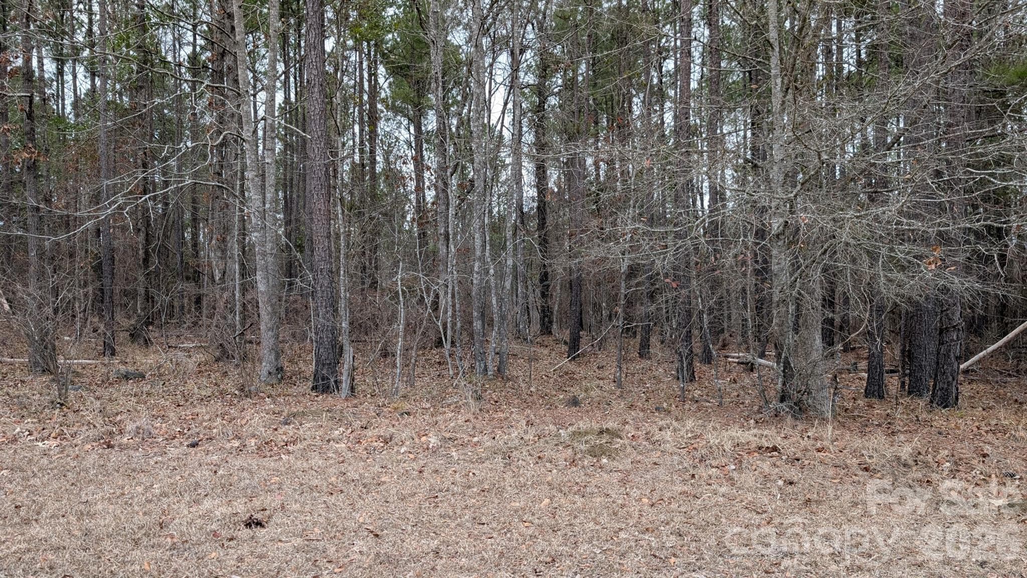 Lot at TBD Retreat Way, Ridgeway, photo 6 of 22