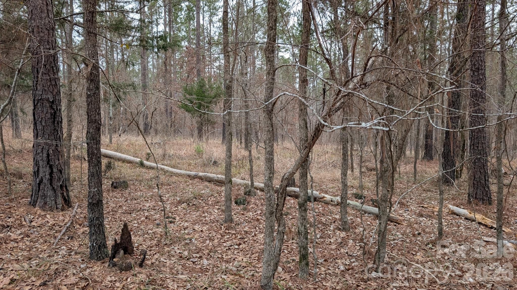 Lot at TBD Retreat Way, Ridgeway, photo 9 of 22