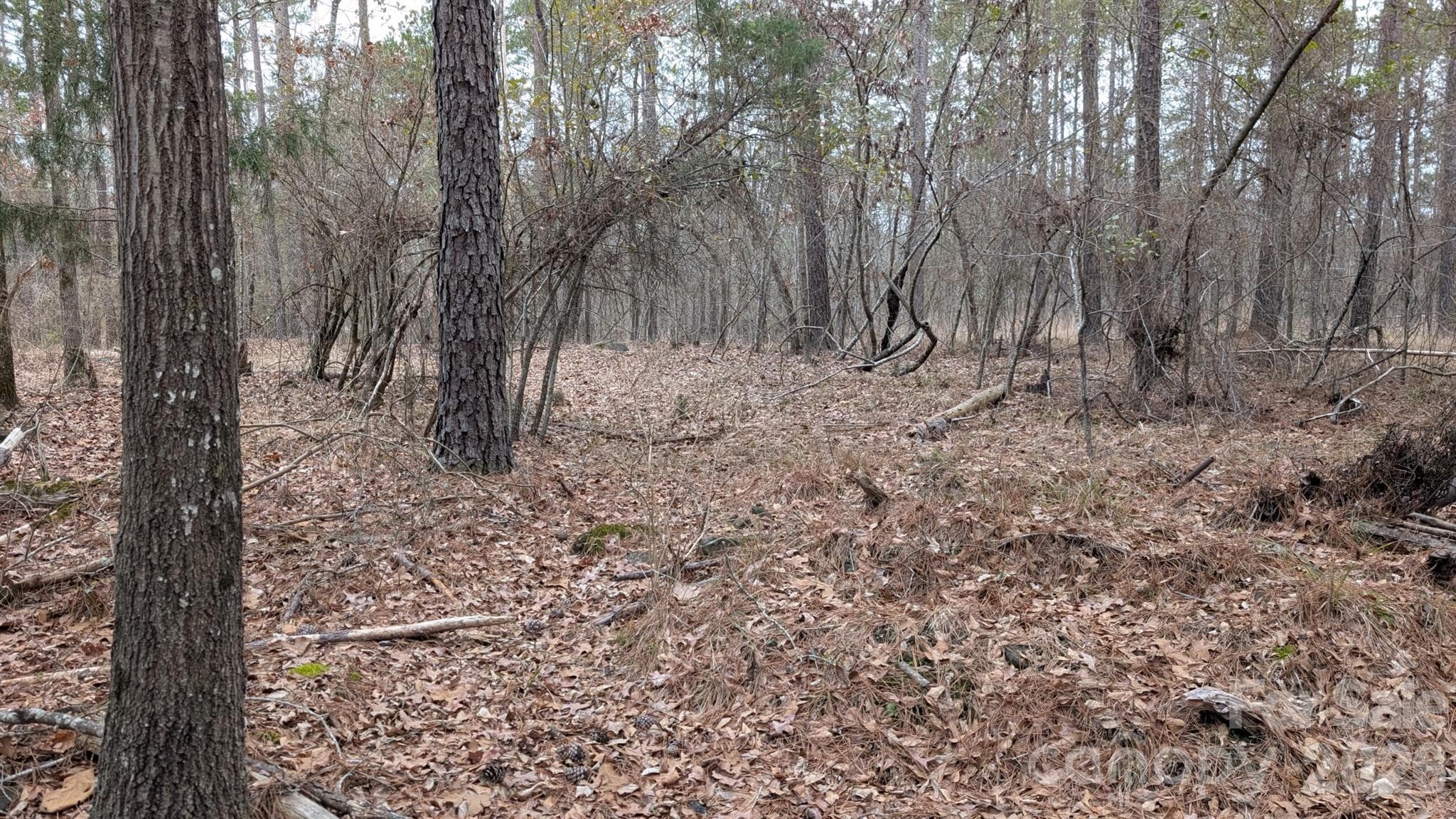 Lot at TBD Retreat Way, Ridgeway, photo 12 of 22