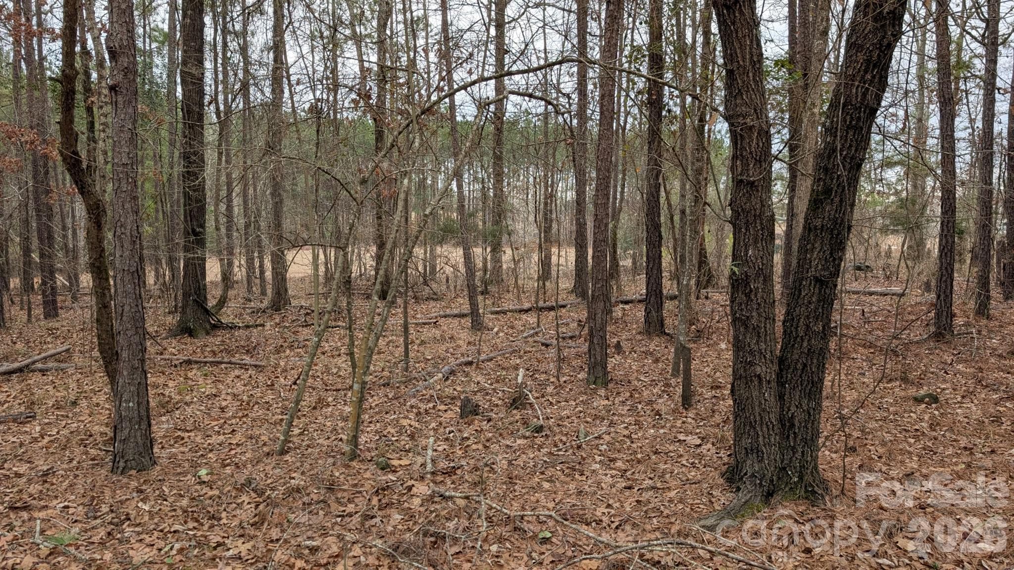 Lot at TBD Retreat Way, Ridgeway, photo 13 of 22