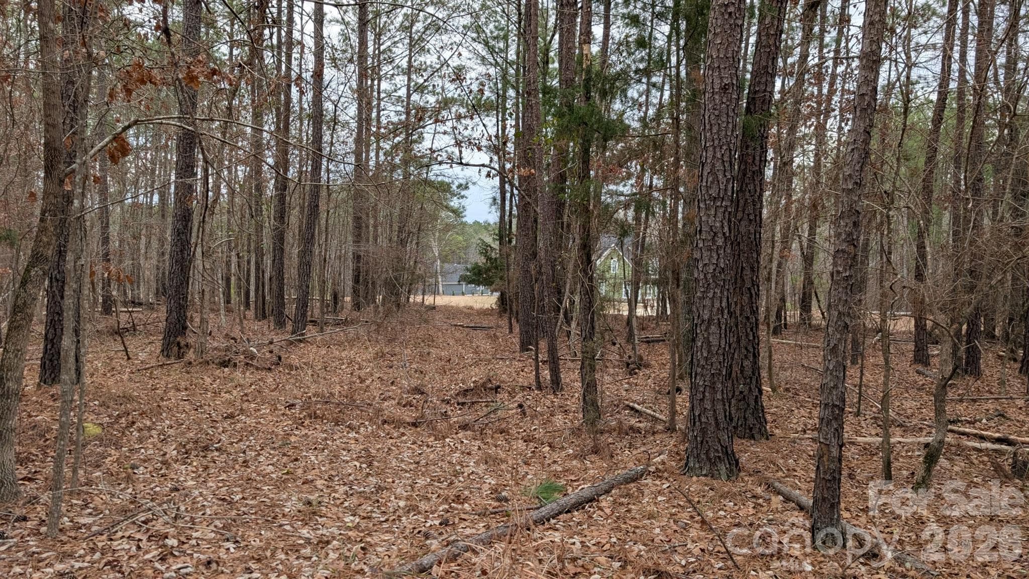 Lot at TBD Retreat Way, Ridgeway, photo 14 of 22