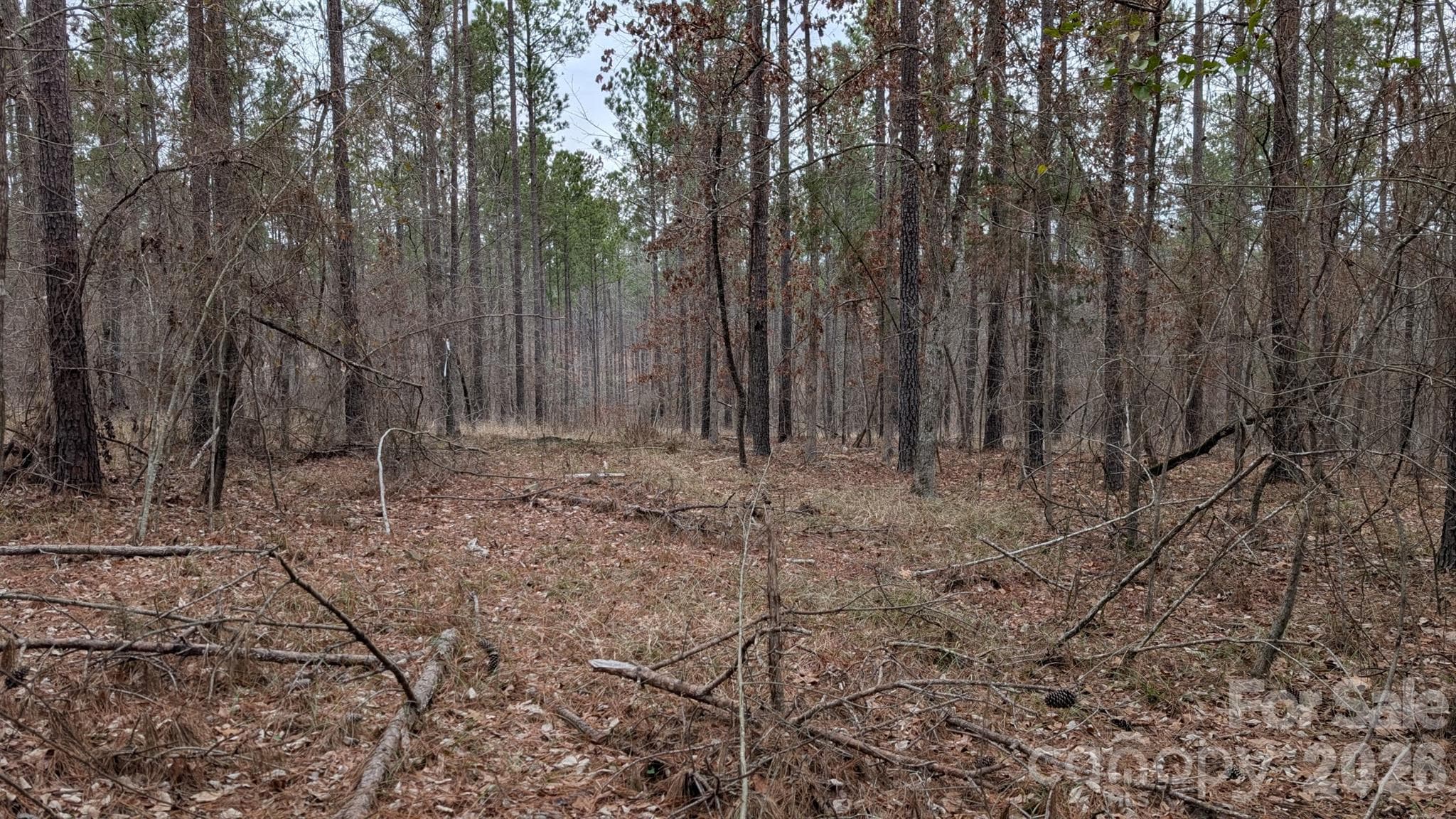 Lot at TBD Retreat Way, Ridgeway, photo 15 of 22