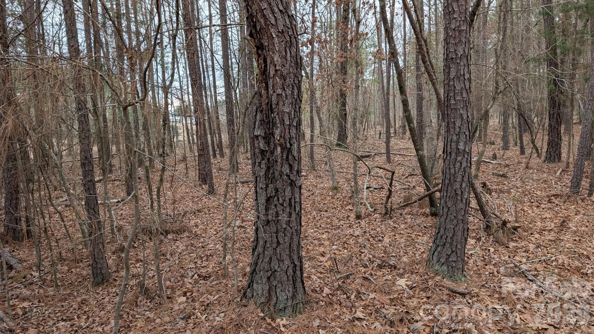 Lot at TBD Retreat Way, Ridgeway, photo 16 of 22