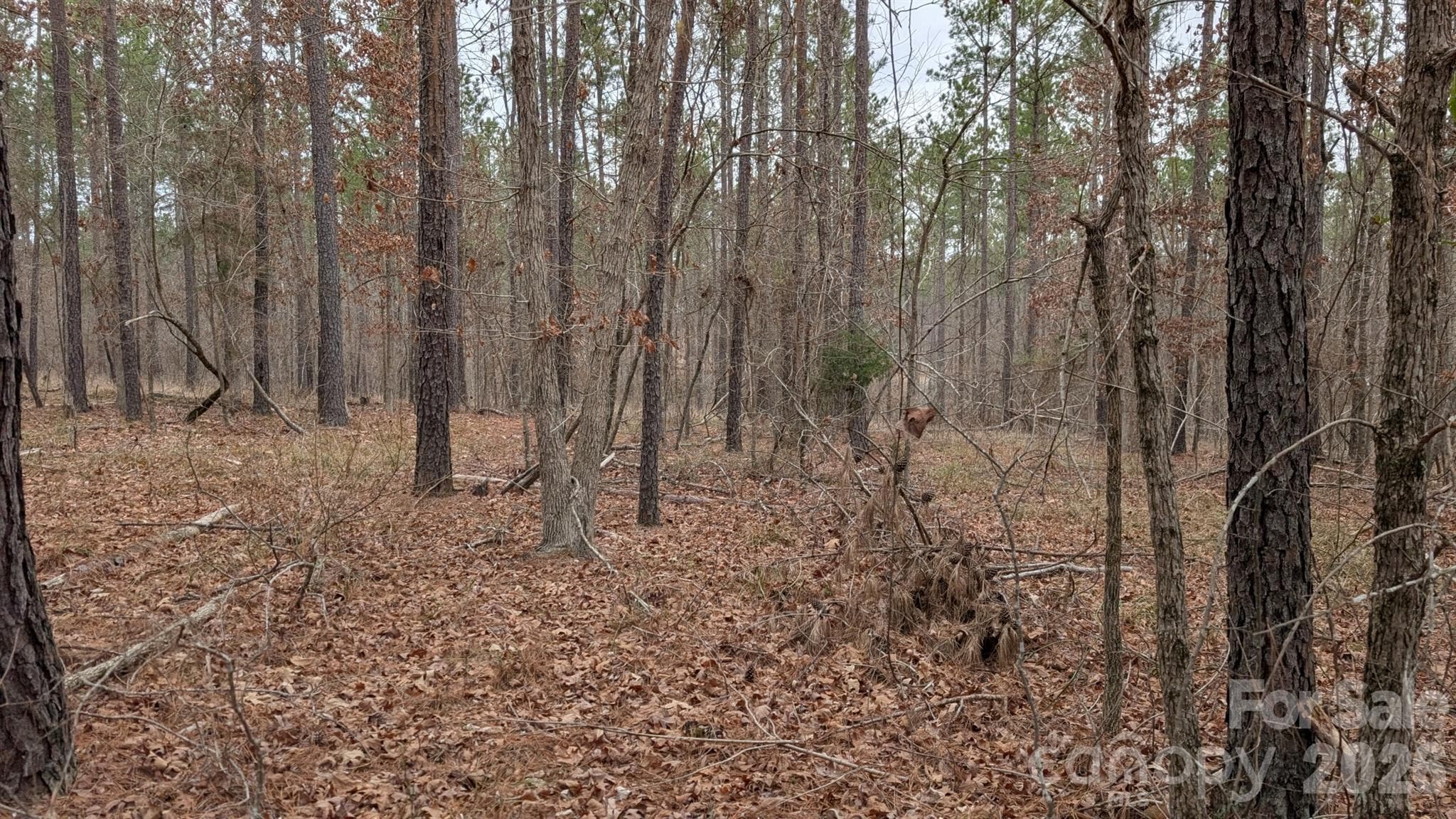 Lot at TBD Retreat Way, Ridgeway, photo 17 of 22