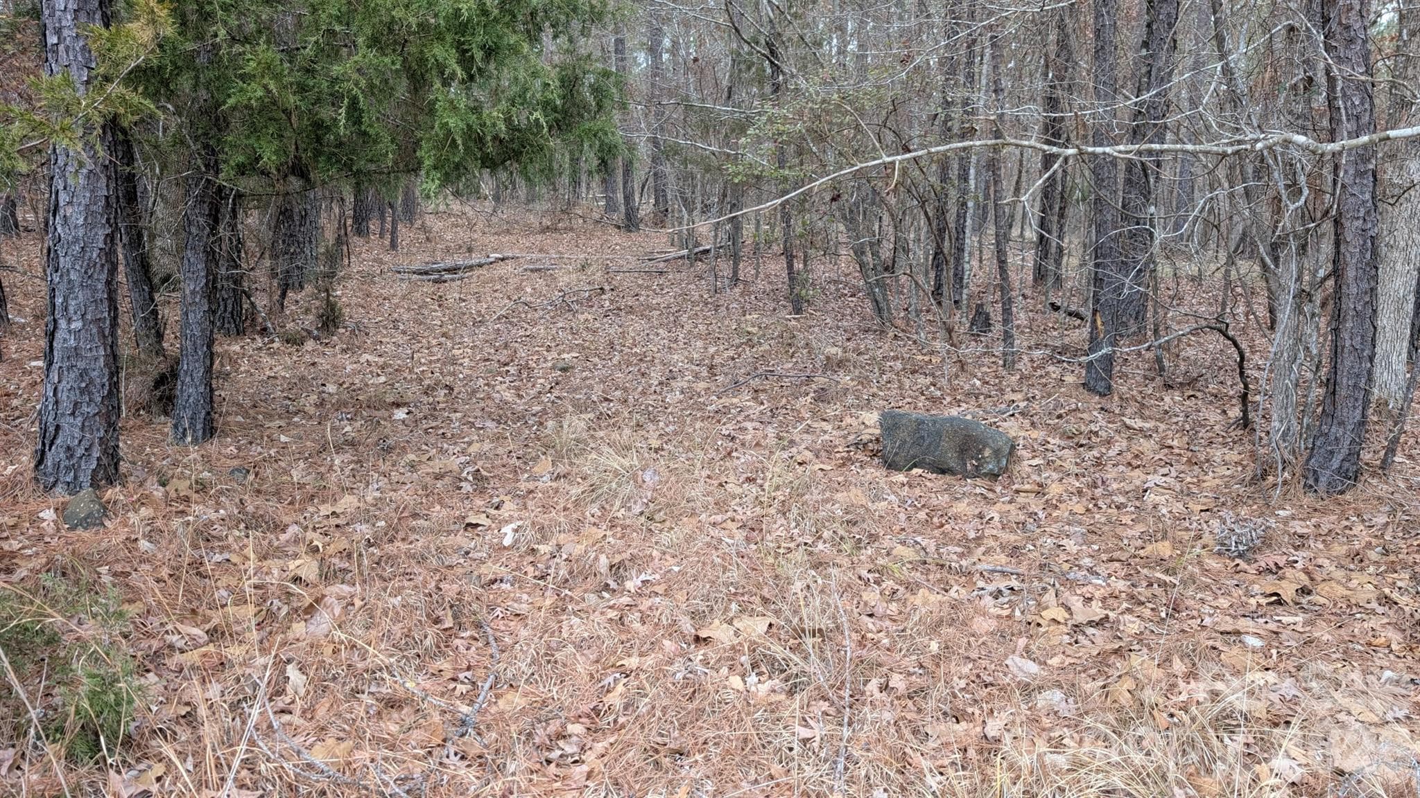 Lot at TBD Retreat Way, Ridgeway, photo 18 of 22