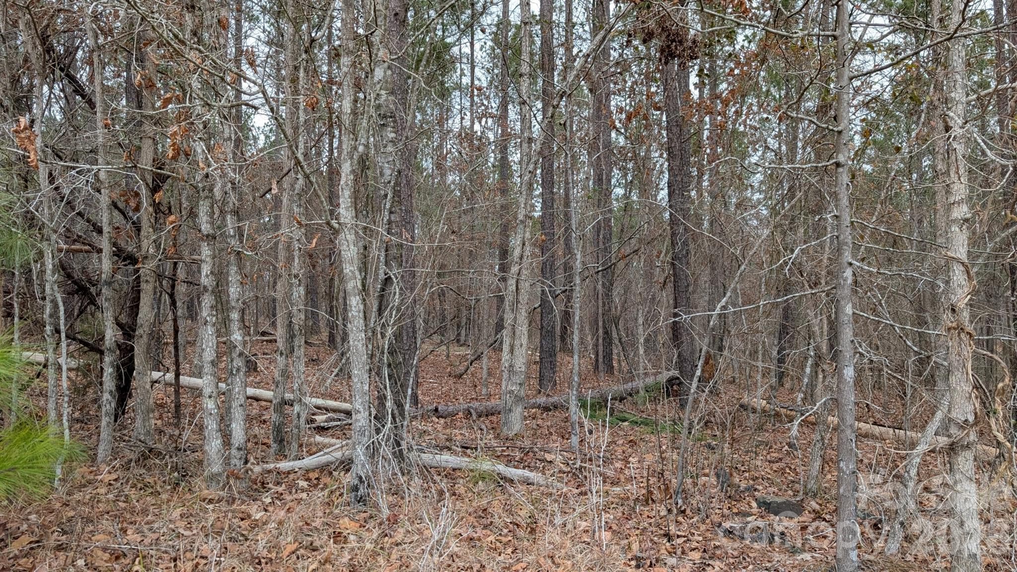 Lot at TBD Retreat Way, Ridgeway, photo 19 of 22