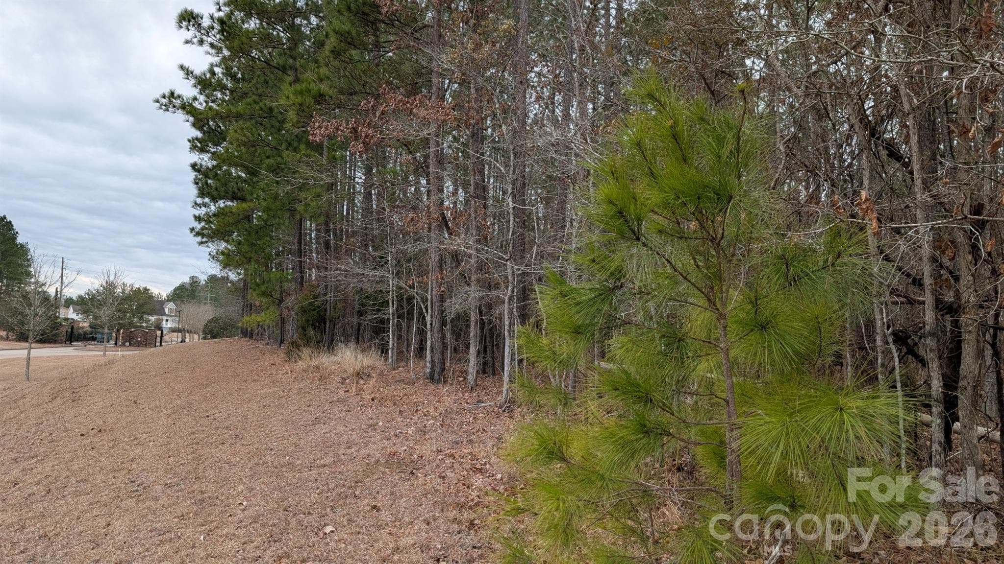 Lot at TBD Retreat Way, Ridgeway, photo 20 of 22