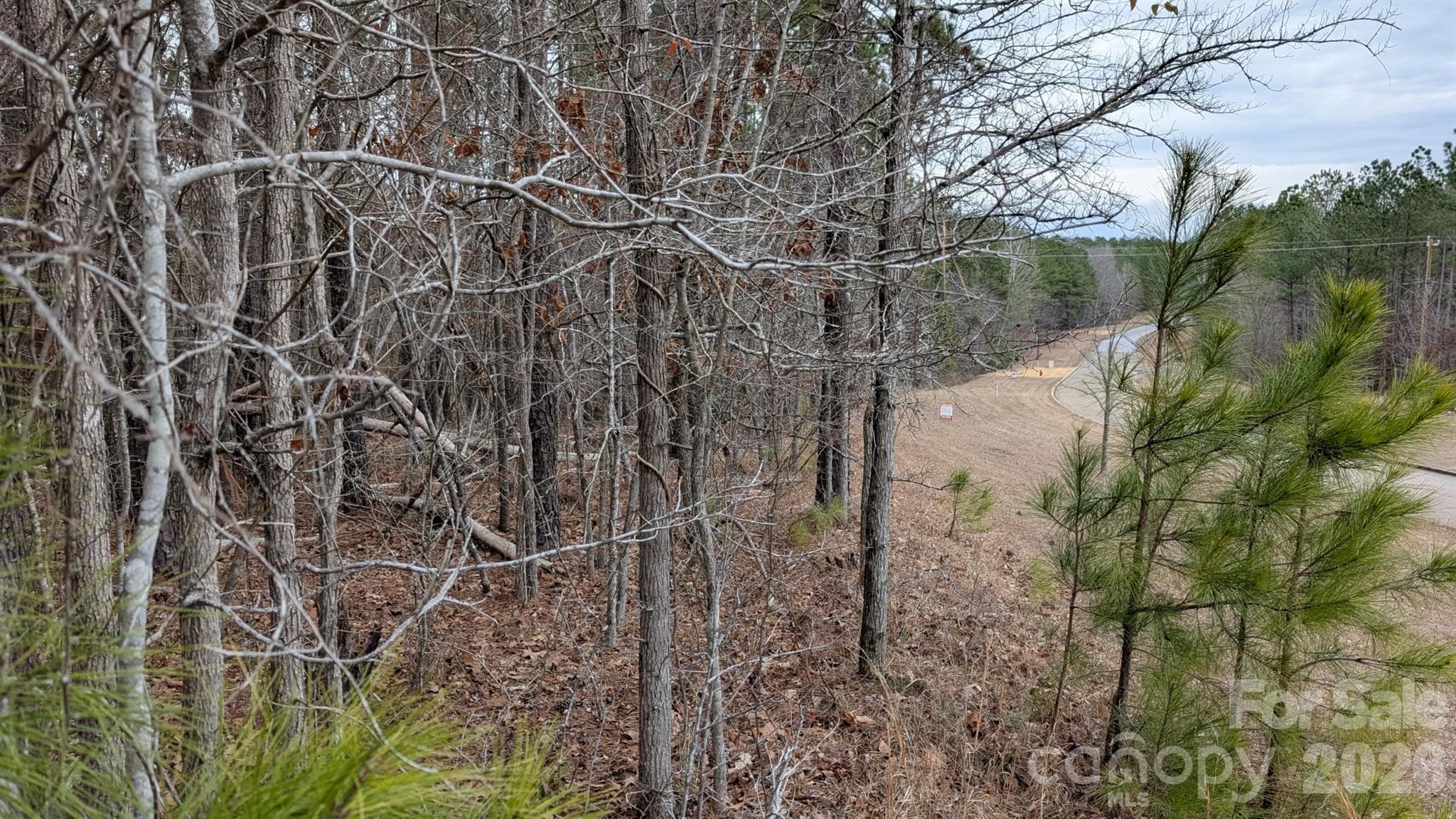 Lot at TBD Retreat Way, Ridgeway, photo 21 of 22