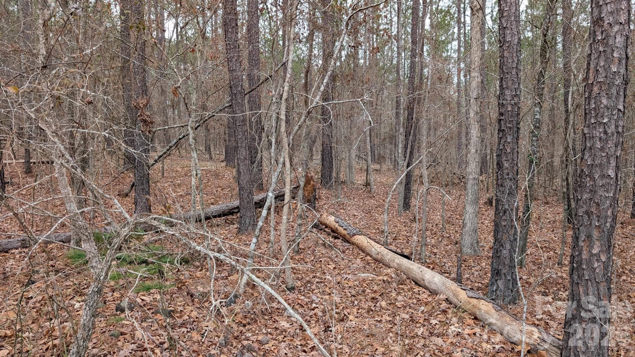Lot at TBD Retreat Way, Ridgeway, photo 22 of 22