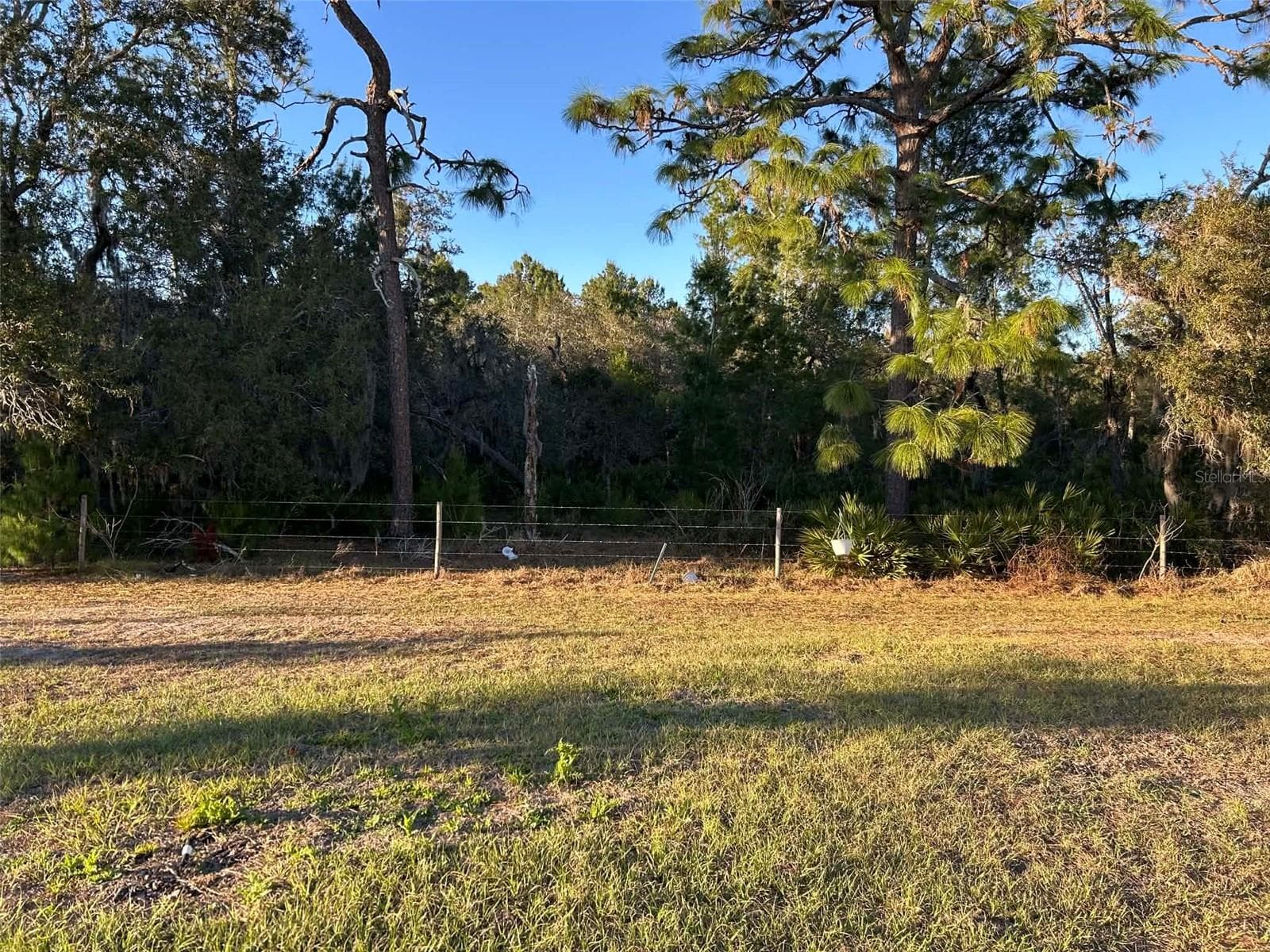 View from Back Yard - 2612 HARMONIA HAMMOCK RD, HARMONY