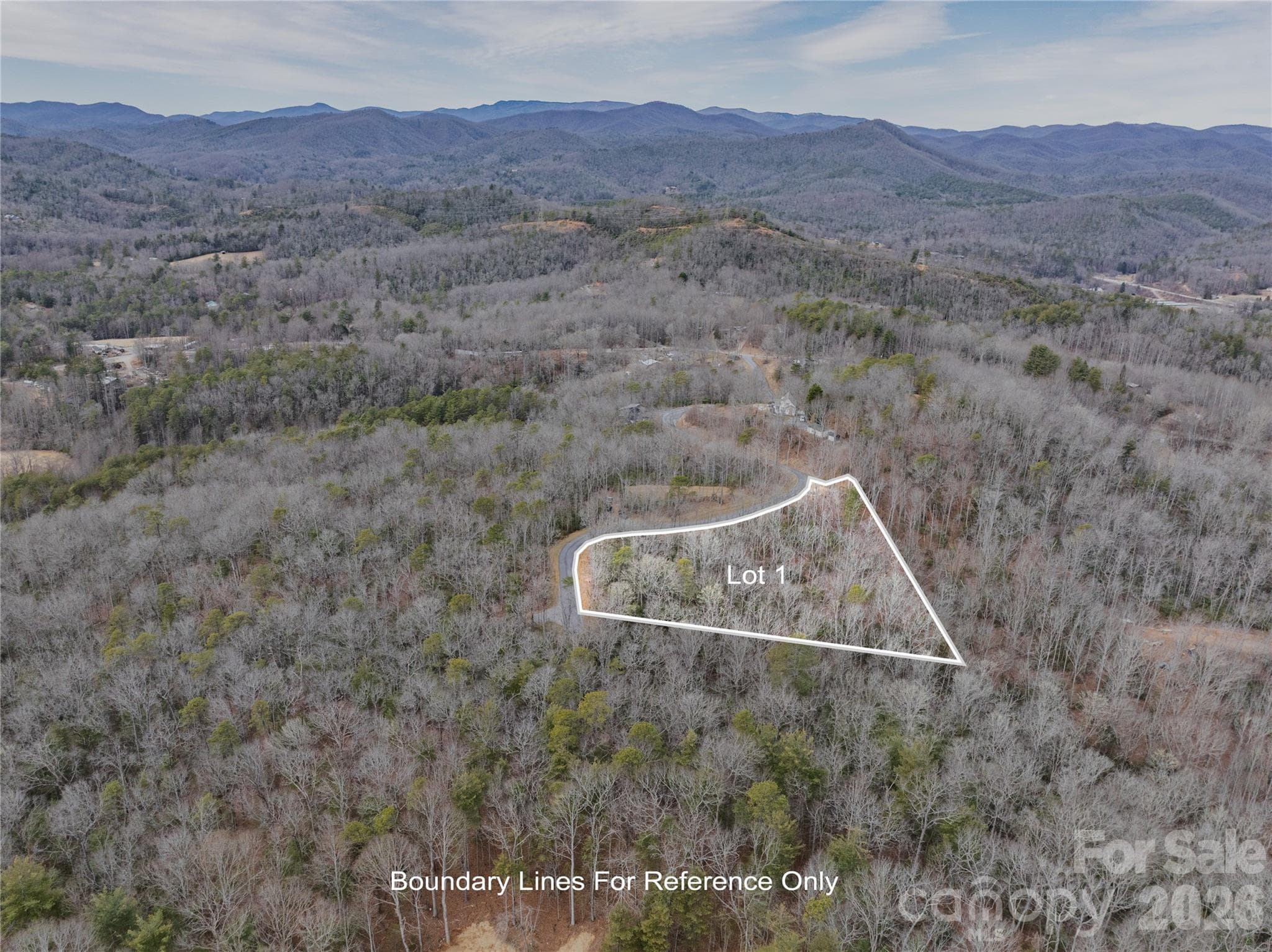 Aerial overlay - Tract 1 Turtle Ridge Trail, Mills River