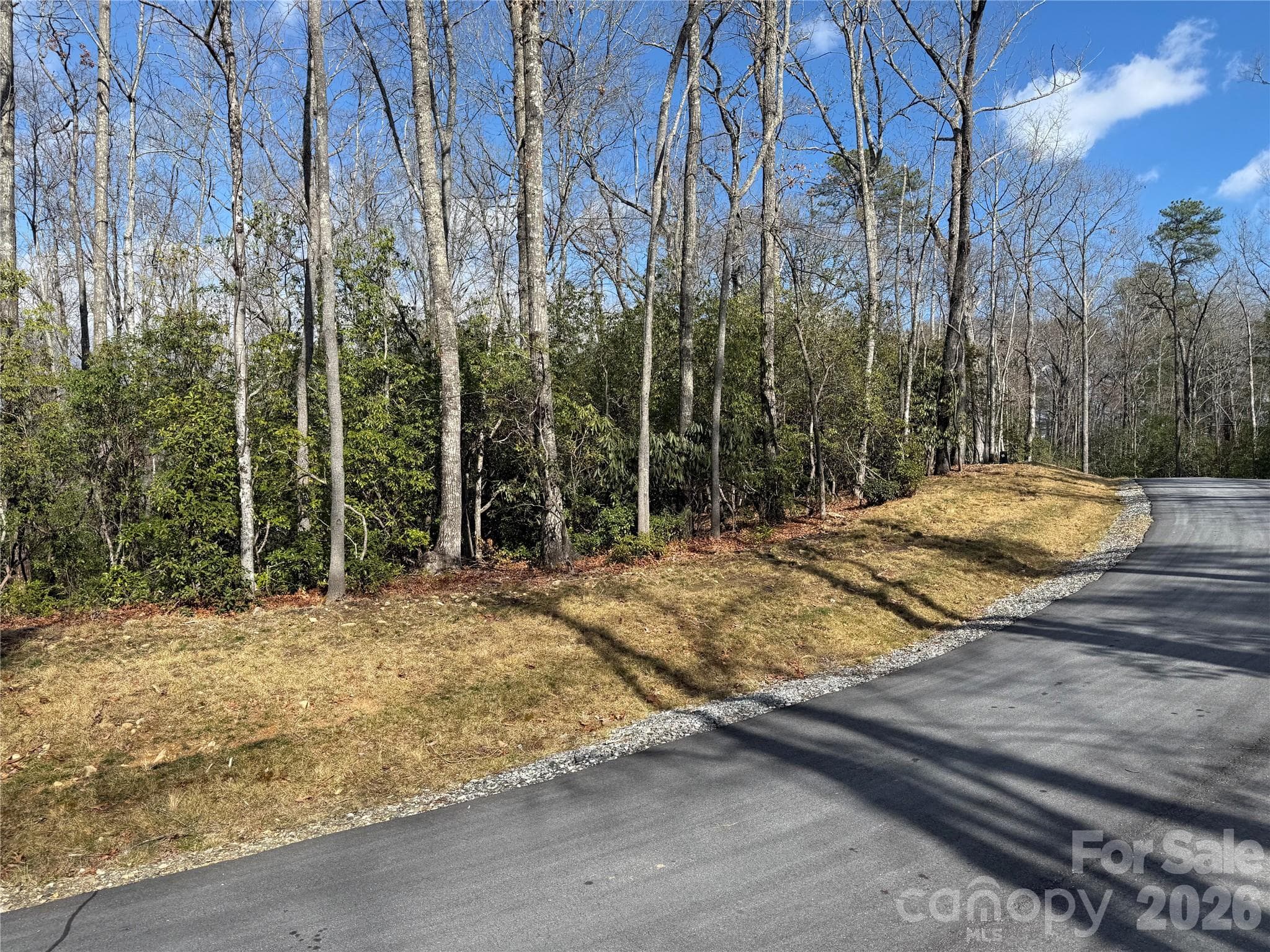 Lot 1 proposed build site - Tract 1 Turtle Ridge Trail, Mills River