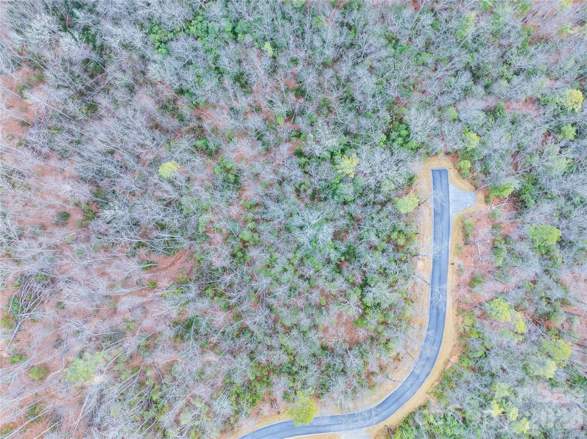 Lot 1 on left side of road - Tract 1 Turtle Ridge Trail, Mills River