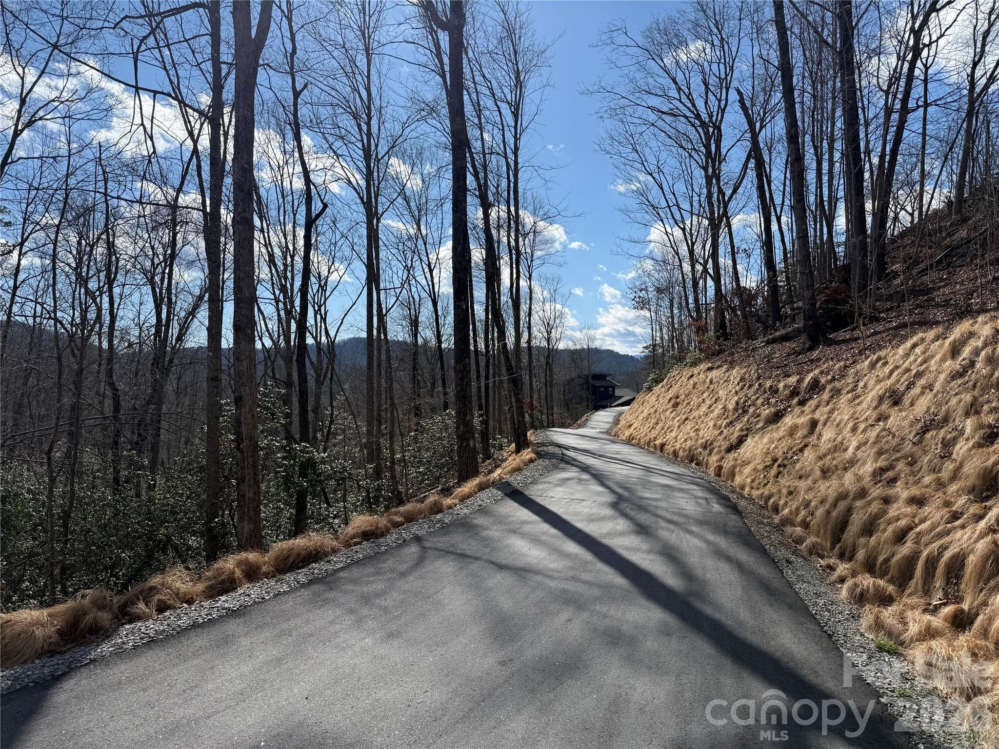 Looking towards exit - Tract 1 Turtle Ridge Trail, Mills River
