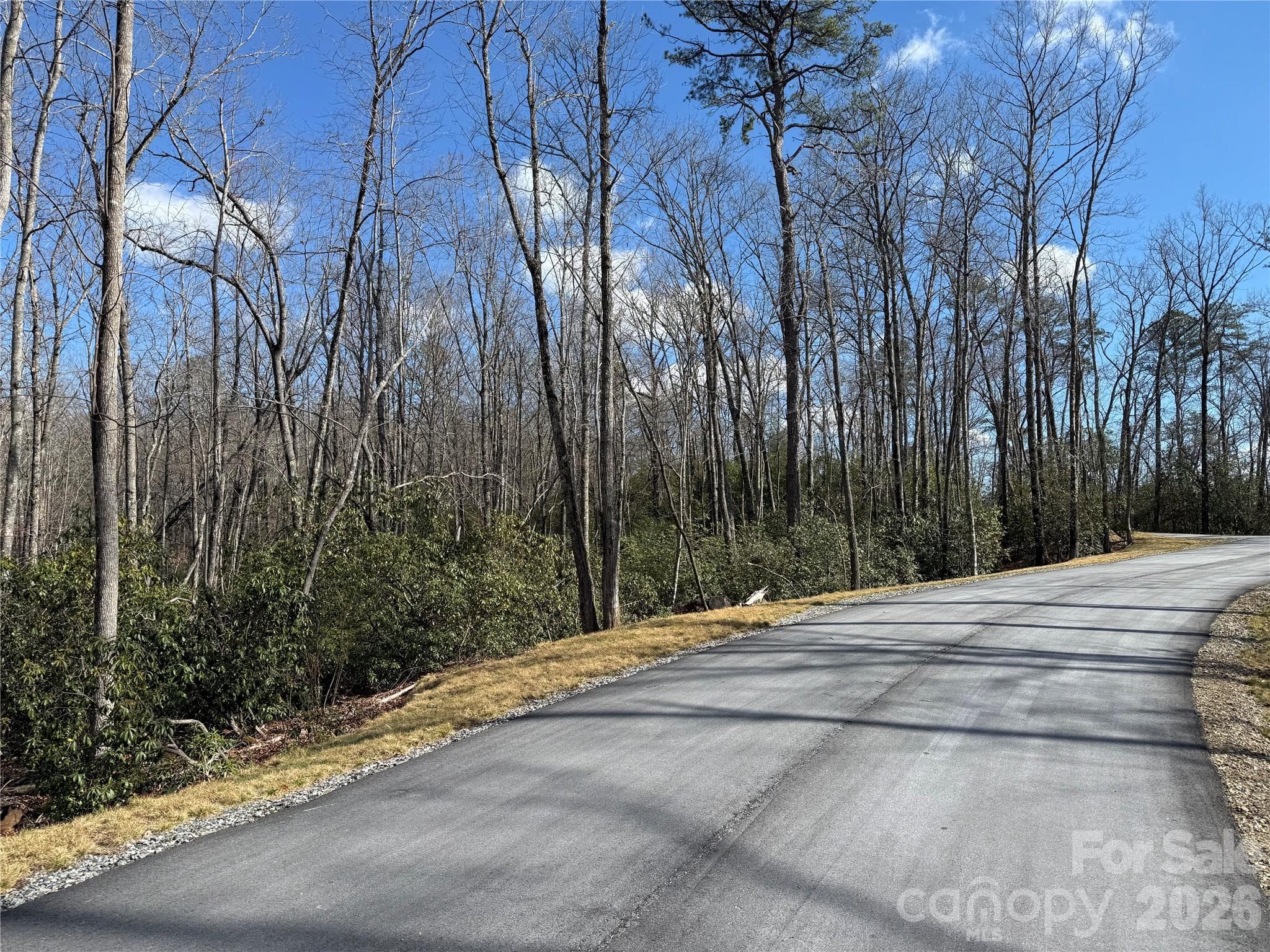 From common space towards lot 1 - Tract 1 Turtle Ridge Trail, Mills River
