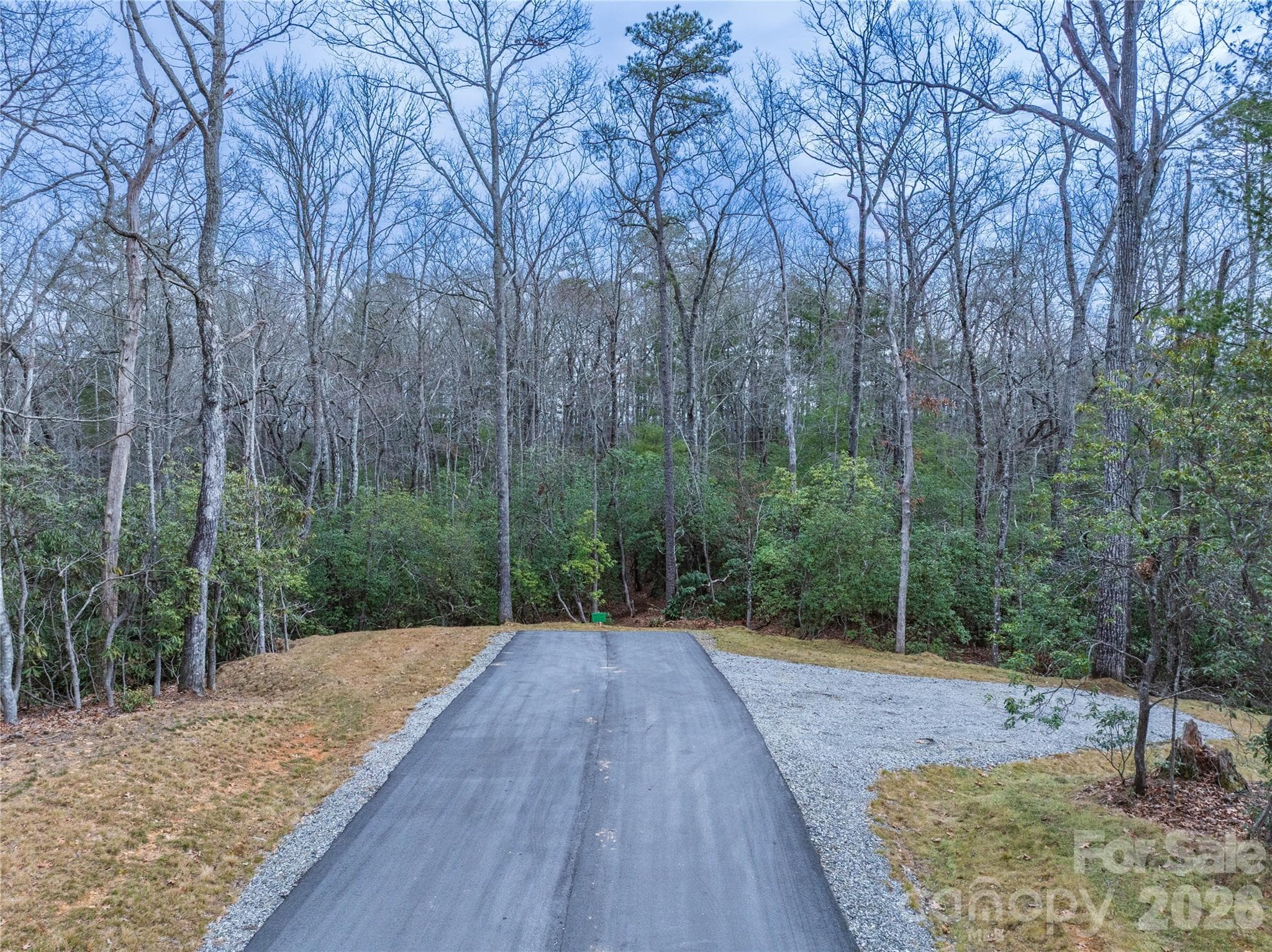 Lot 2 on the left - Tract 2 Turtle Ridge Trail, Mills River