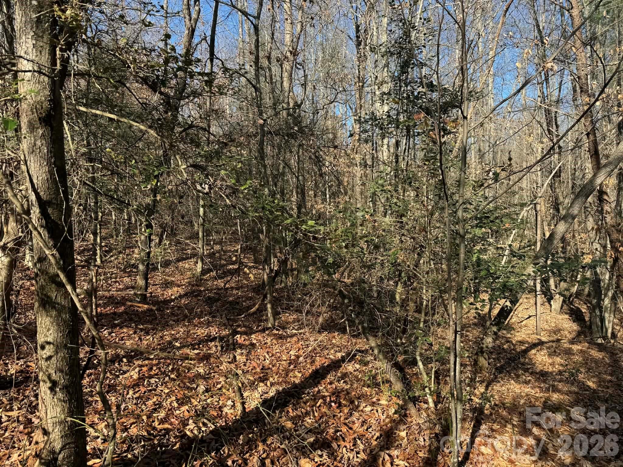 Acreage at North Wilkesboro, photo 21 of 23