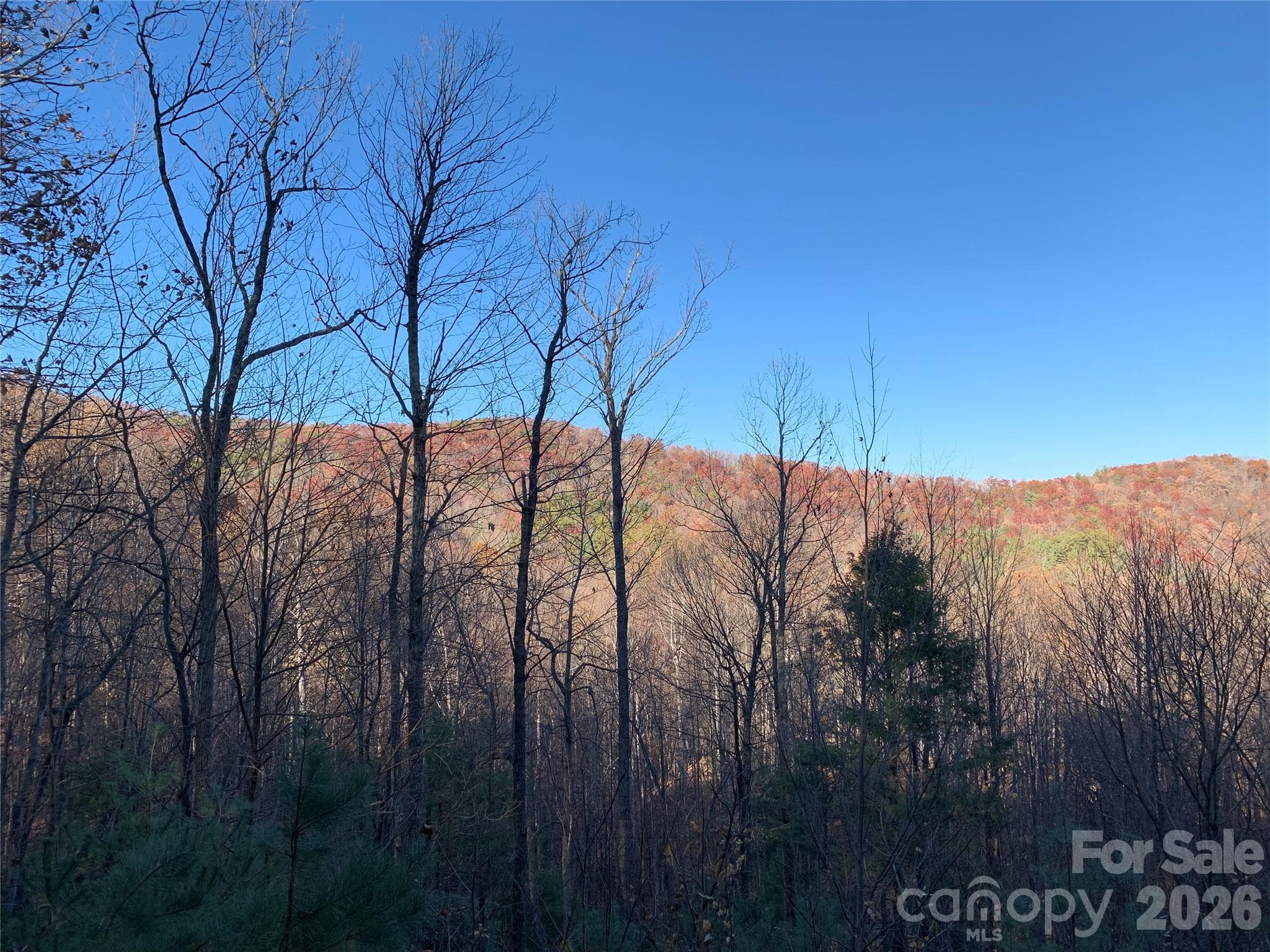 Lot at Lenoir, photo 6 of 14