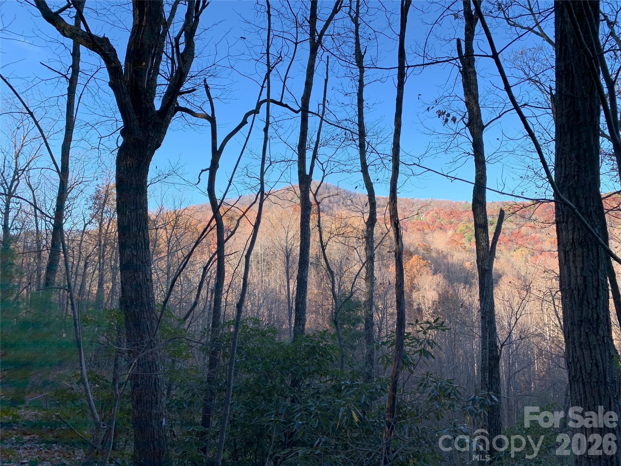 Lot at Lenoir, photo 7 of 14