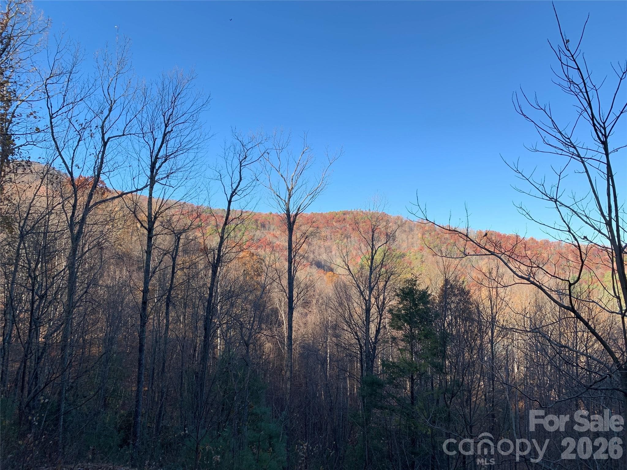 Lot at Lenoir, photo 8 of 14