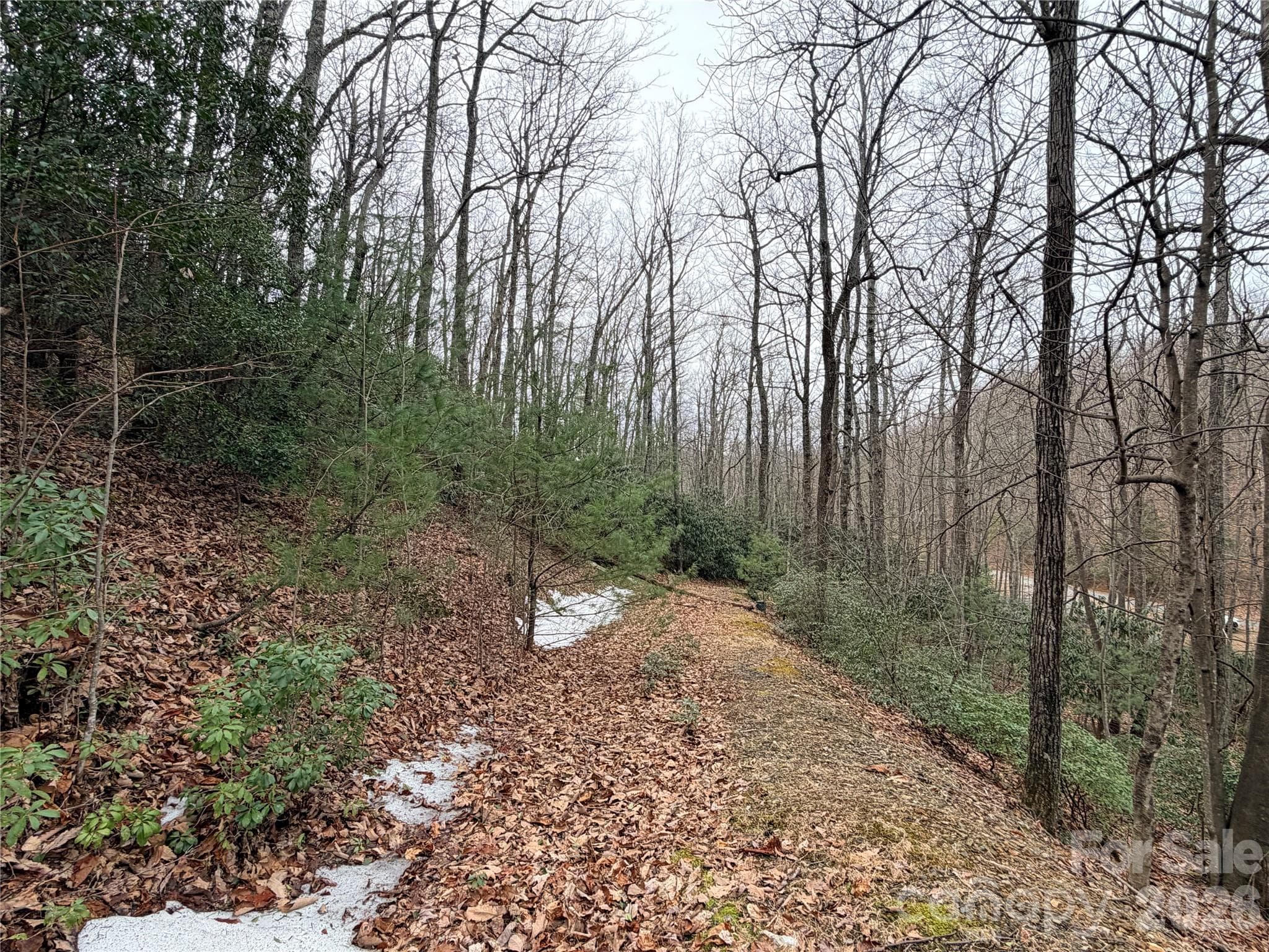 Looking Back to Road - Lenoir